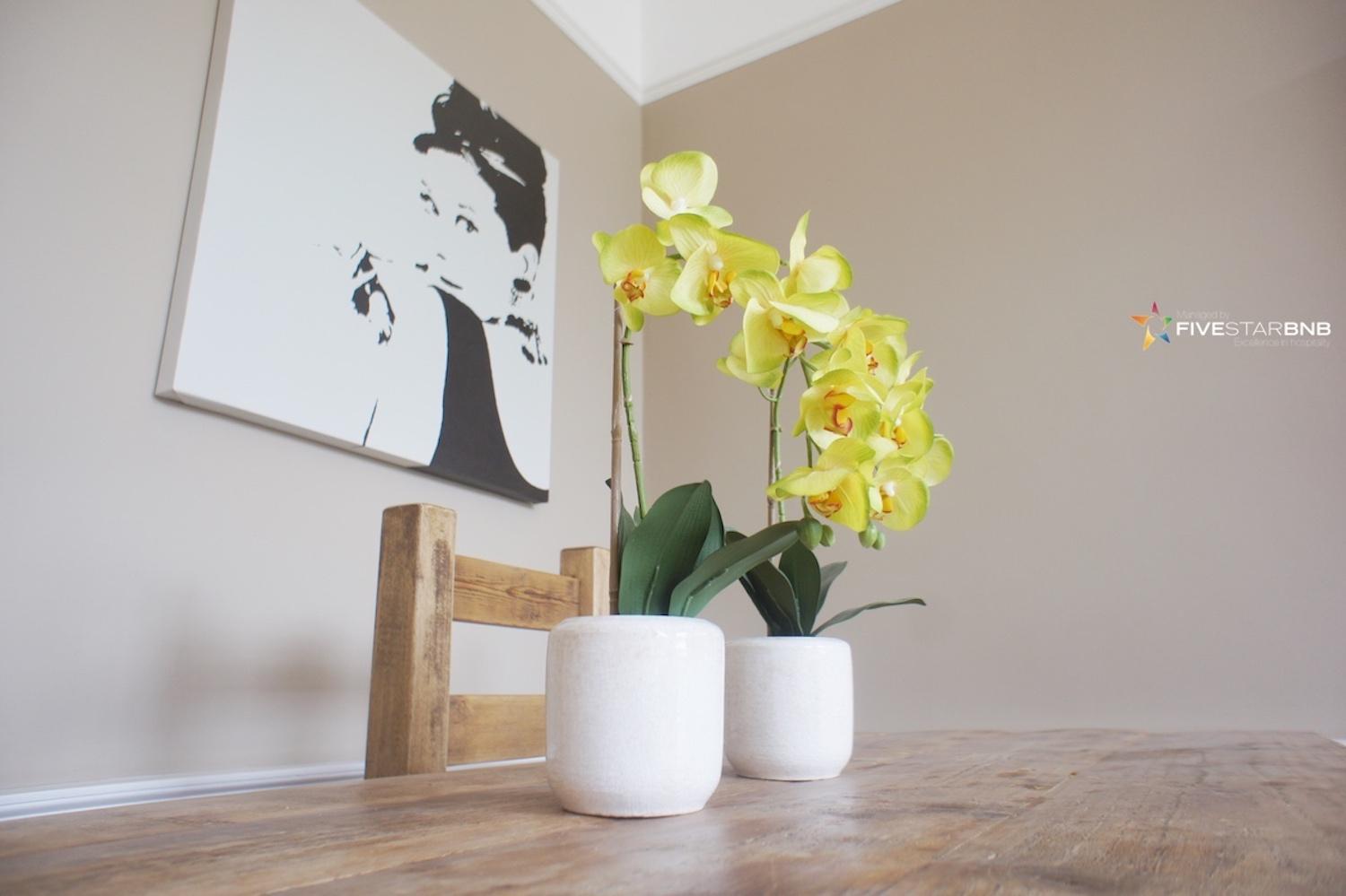 Windsor Street Apartment