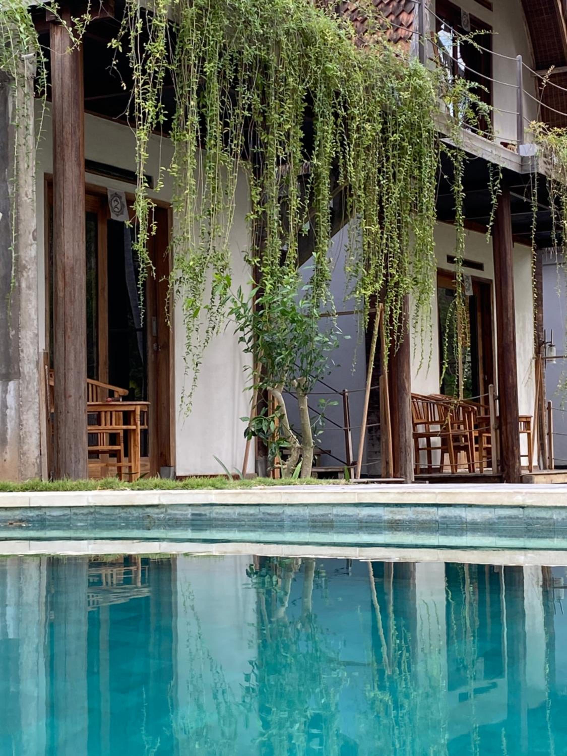 Tentacle Bali view 3
