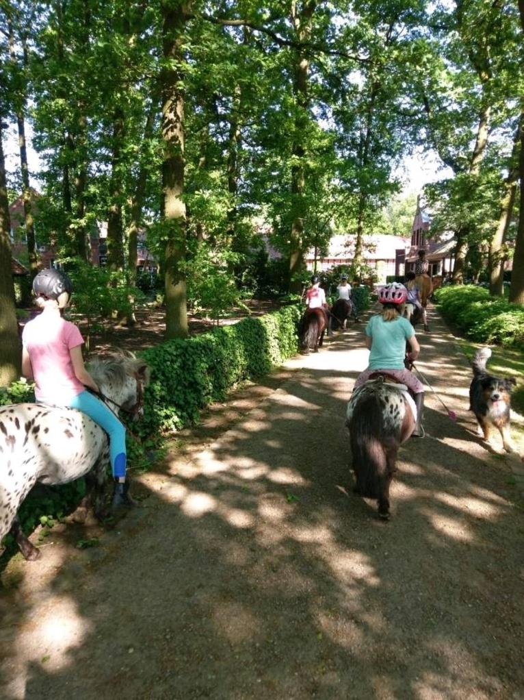 Große Ferienwohnung, auf Bauernhof mit Ponys und Pferden, ländlich und ruhig, Nähe Dümmer See view 4
