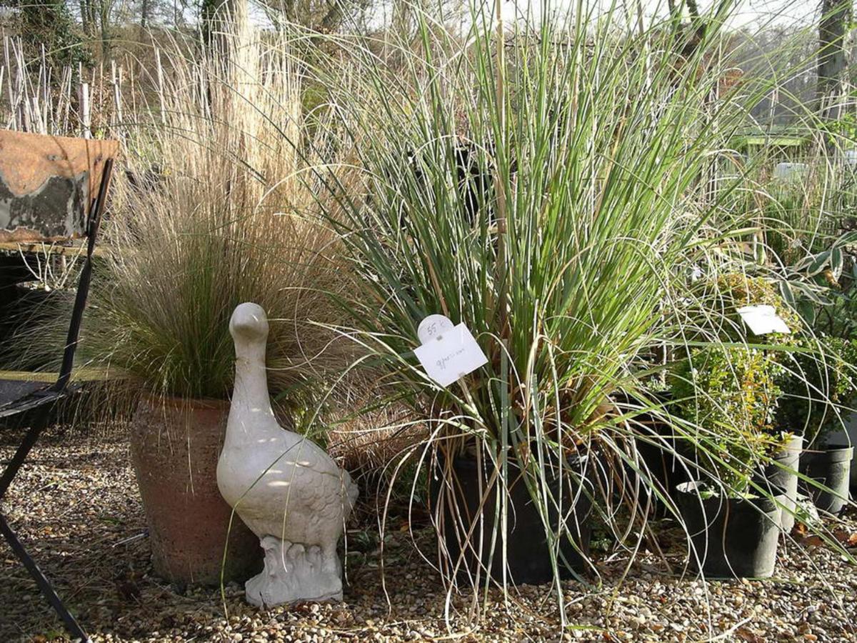 Gîtes du Jardin Francais