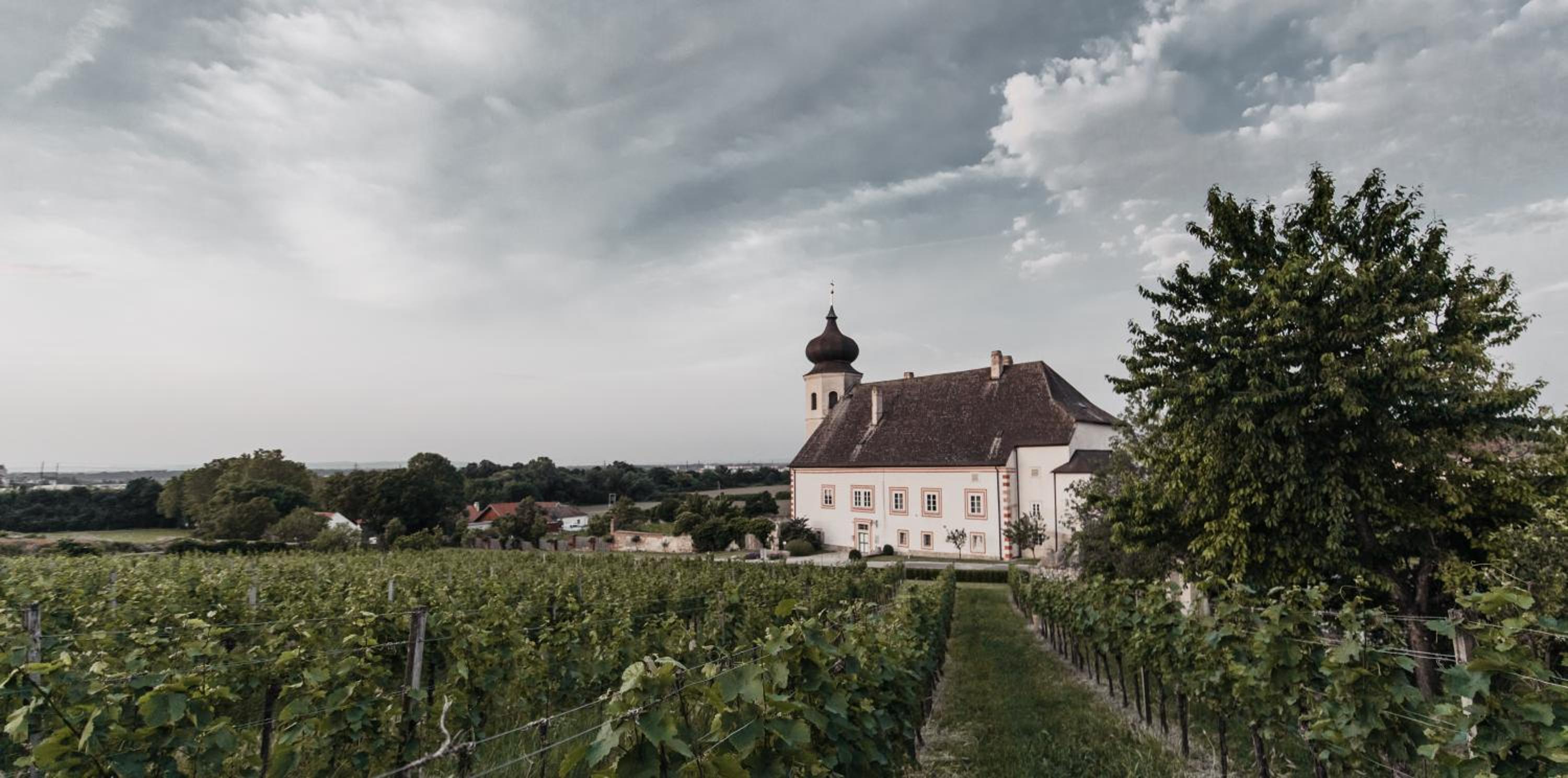 Freigut Thallern