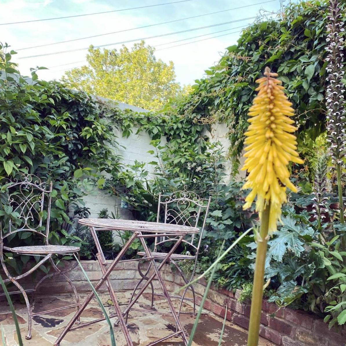 Photo 48