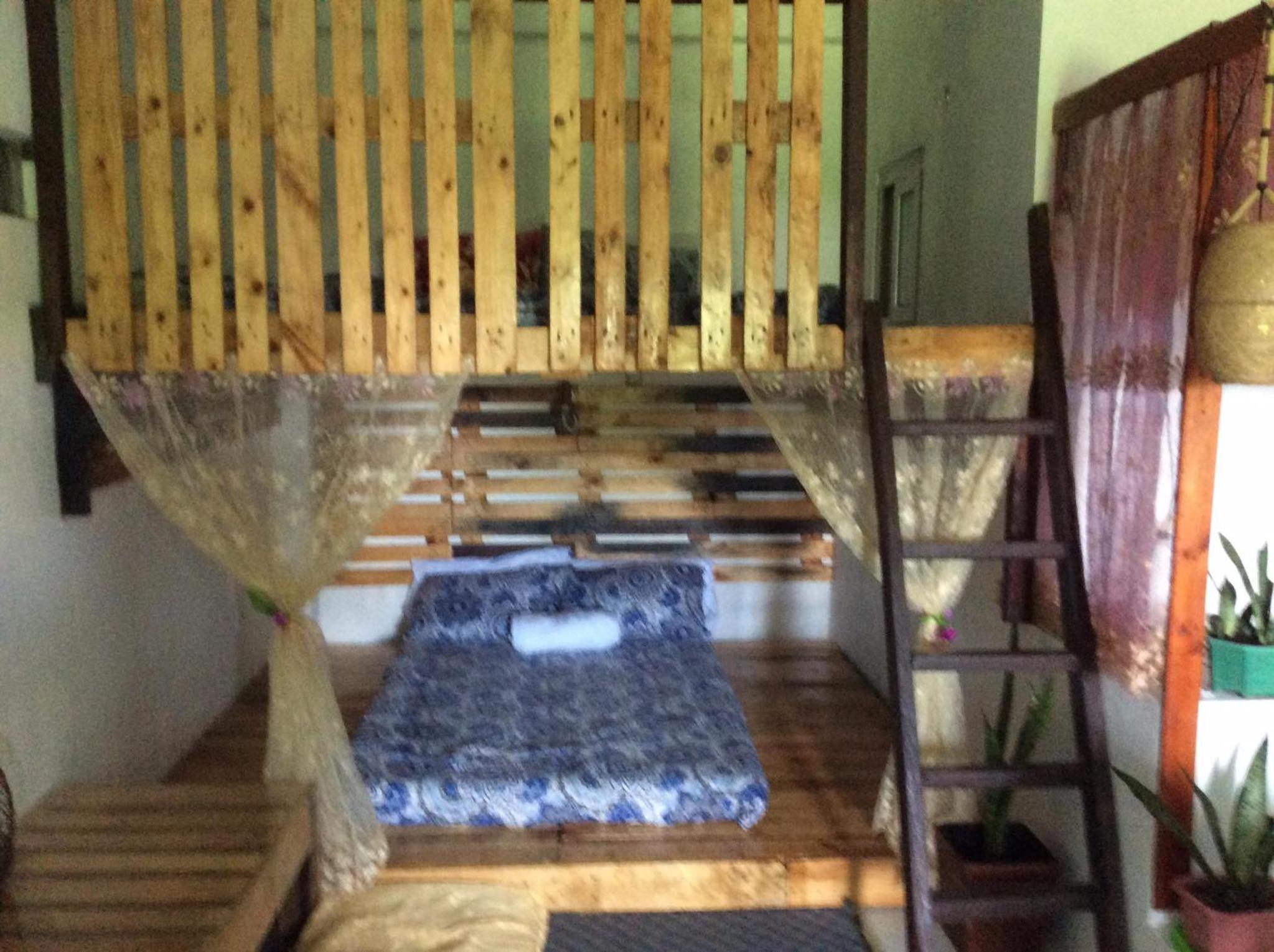Photo 47