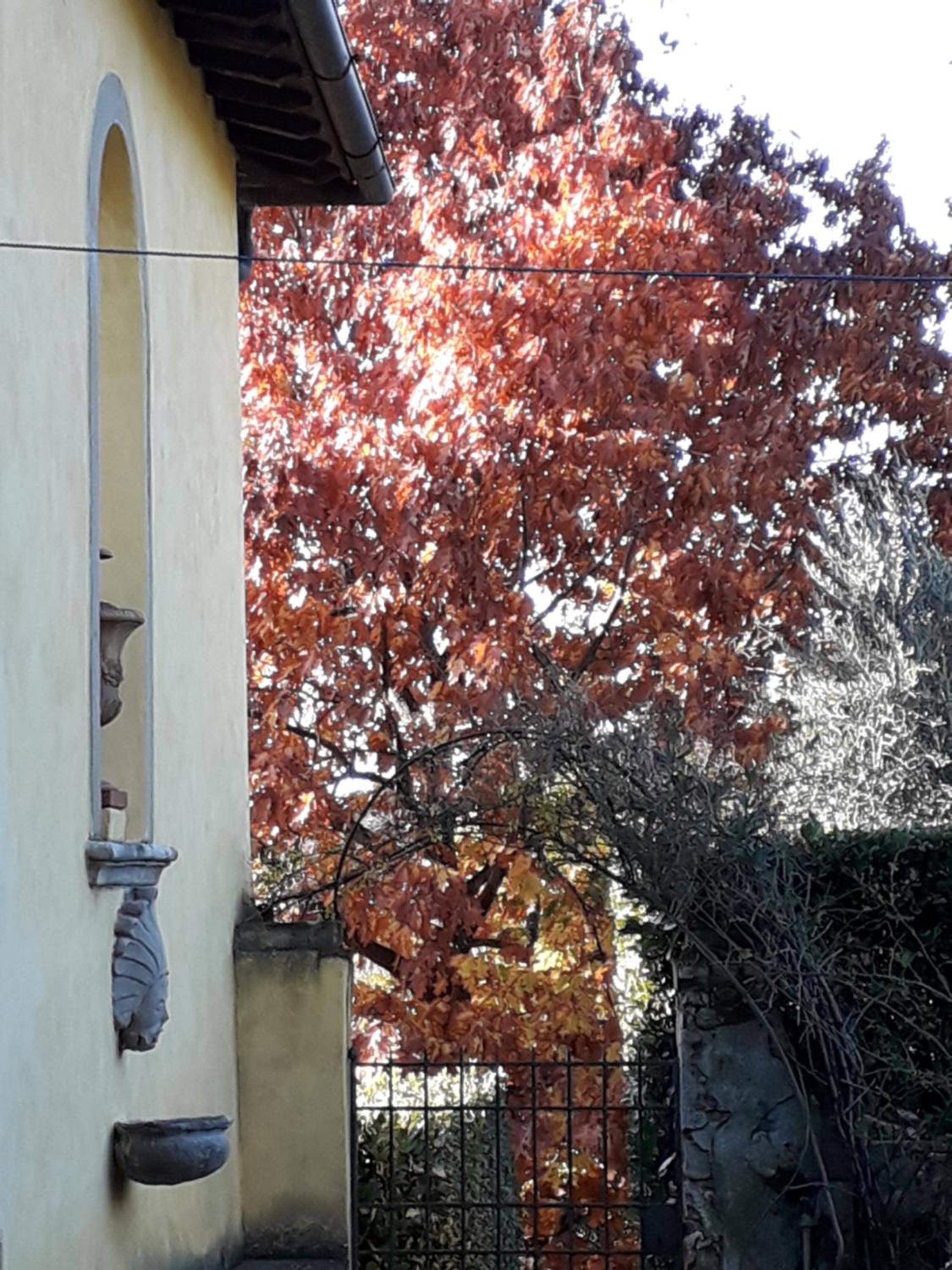 Villa Le Pergole- Firenze
