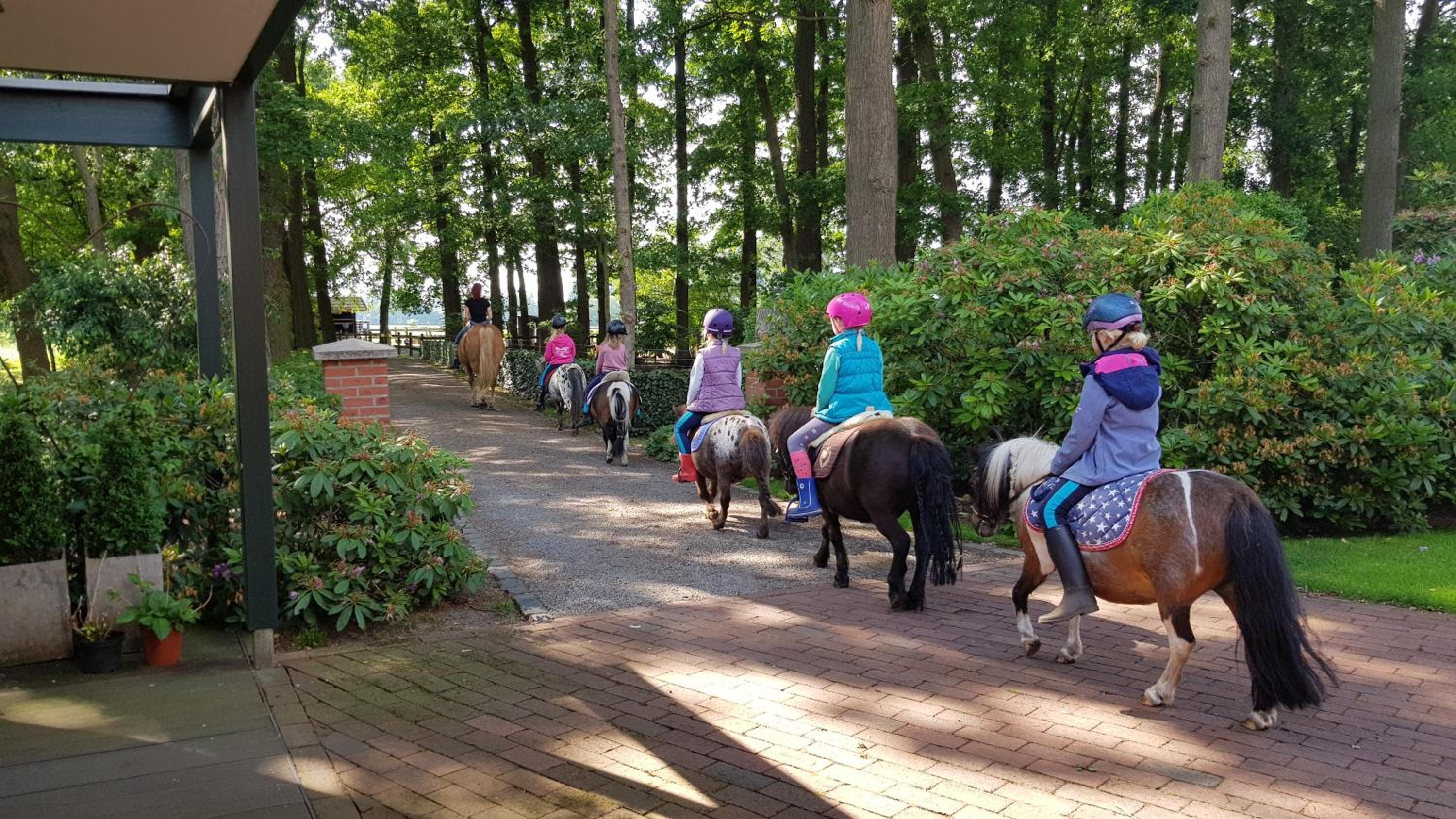 Große Ferienwohnung, auf Bauernhof mit Ponys und Pferden, ländlich und ruhig, Nähe Dümmer See view 3