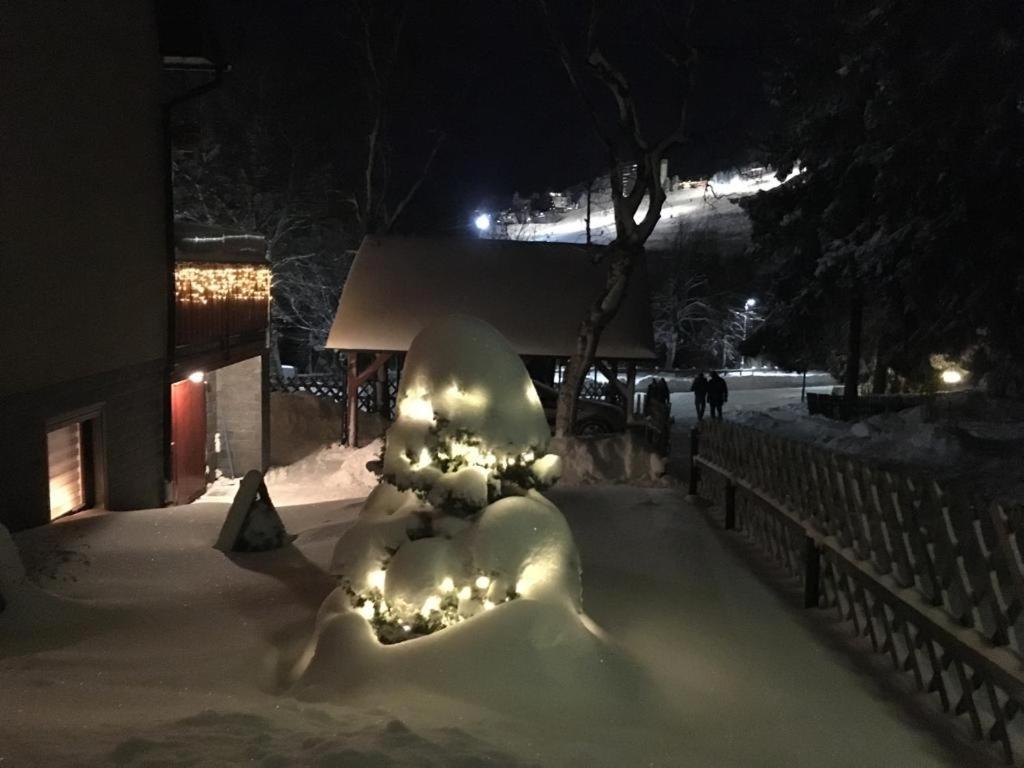Ferienwohnung direkt am Ski und Rodelhang
