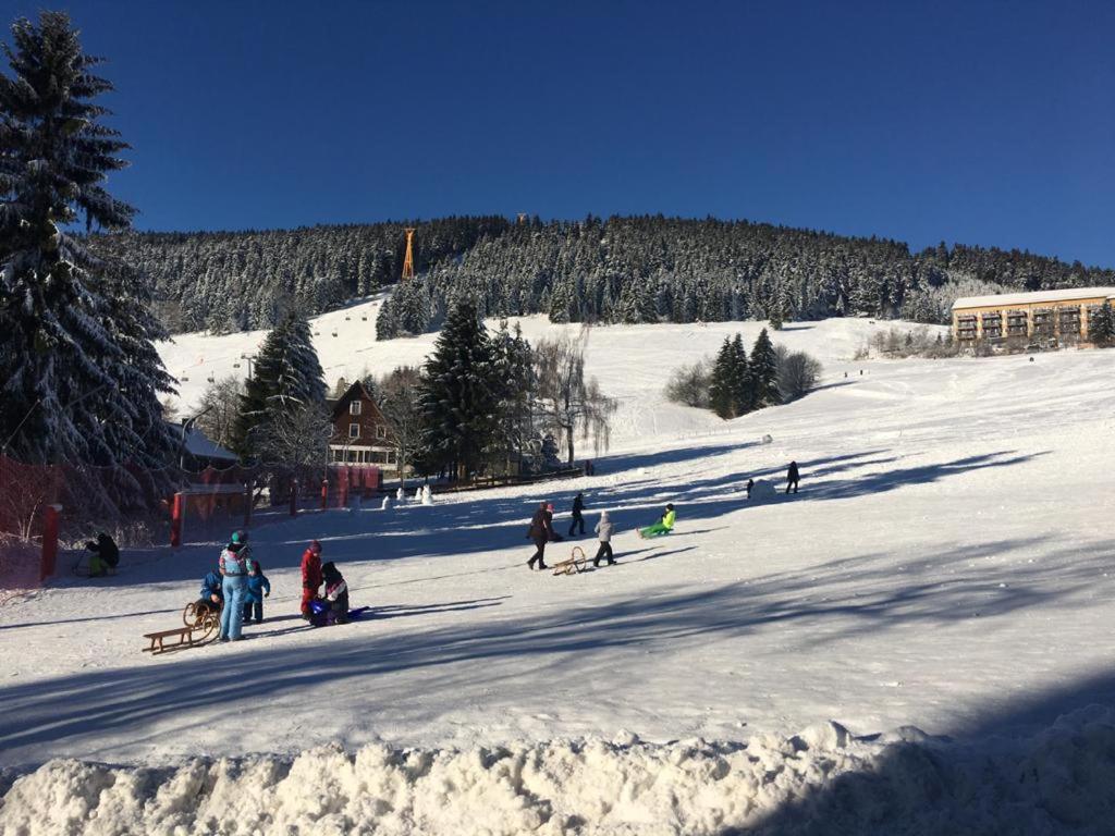 Ferienwohnung direkt am Ski und Rodelhang