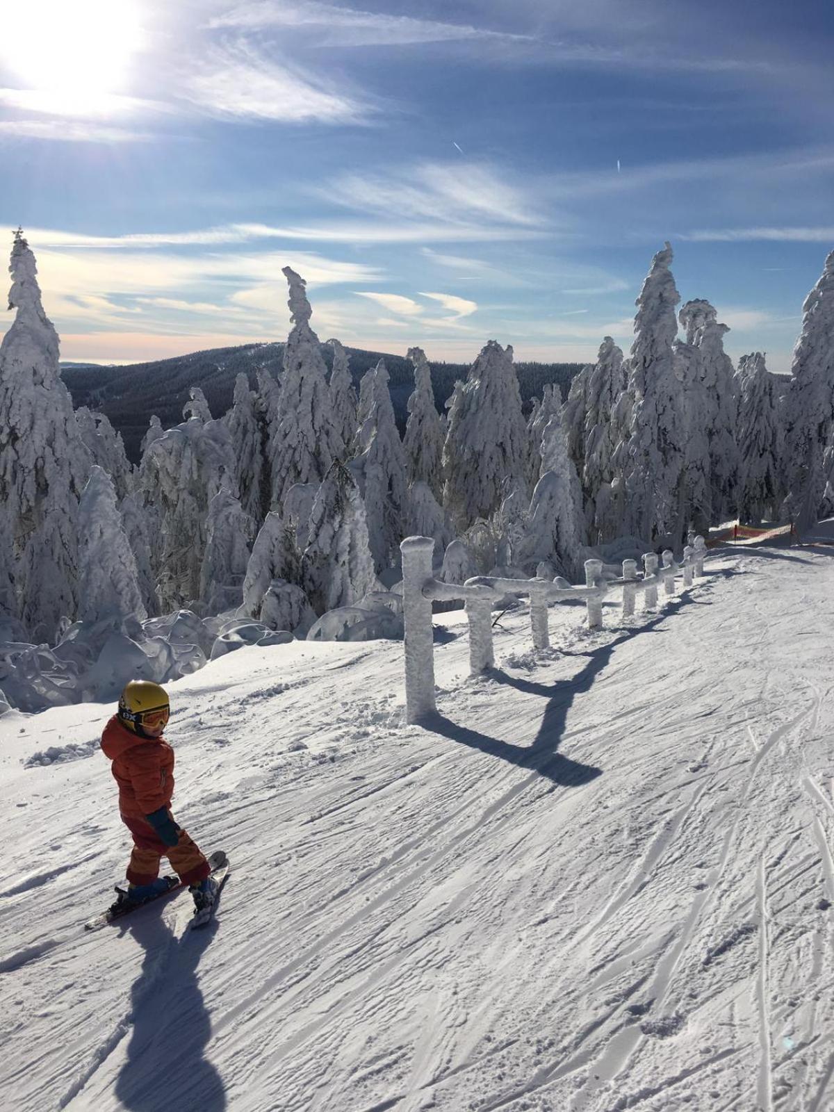 Ferienwohnung direkt am Ski und Rodelhang
