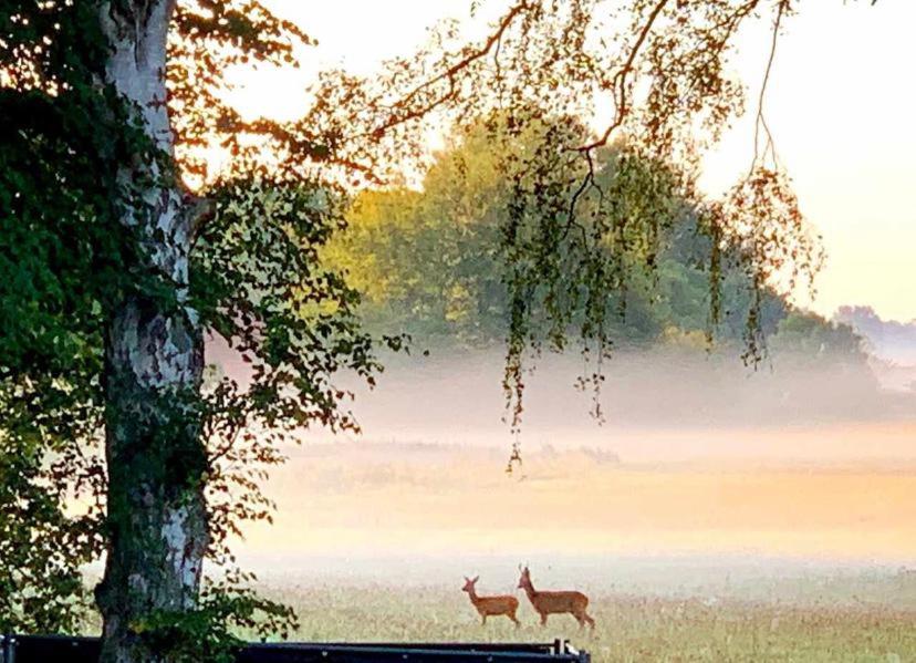 Meiks Ostseehütten