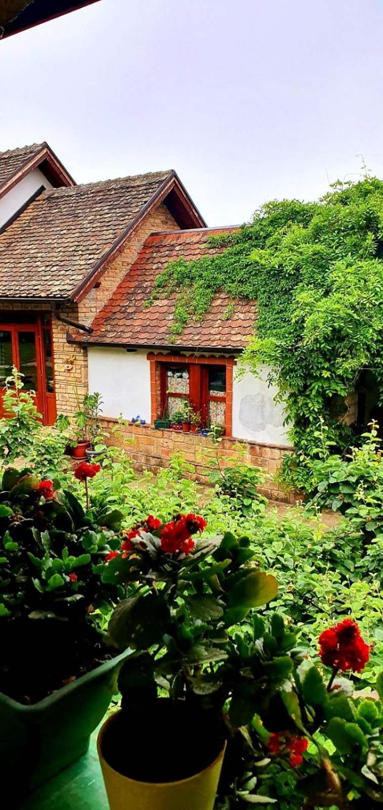 Ilkićev kućerak Apartman view 2