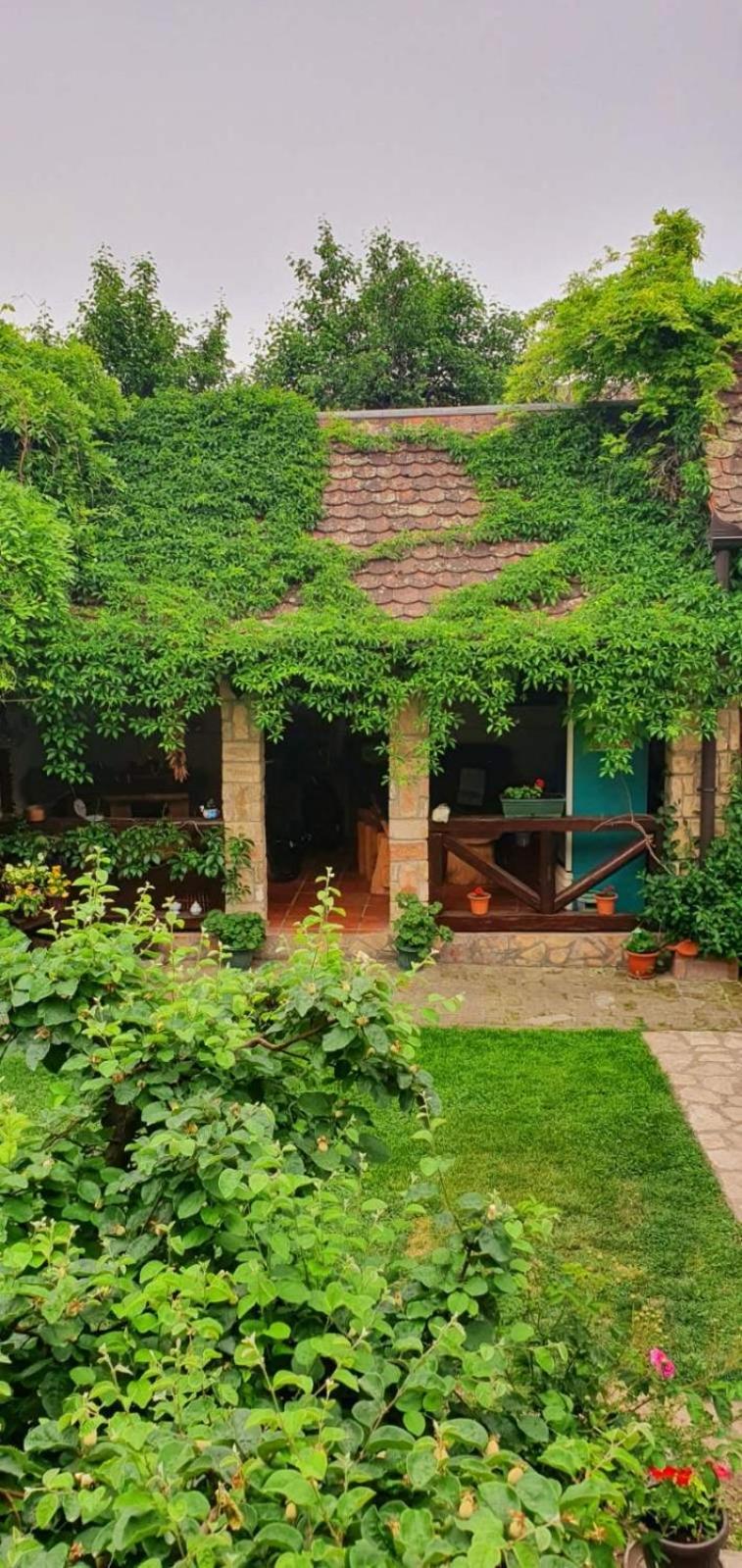 Ilkićev kućerak Apartman view 3