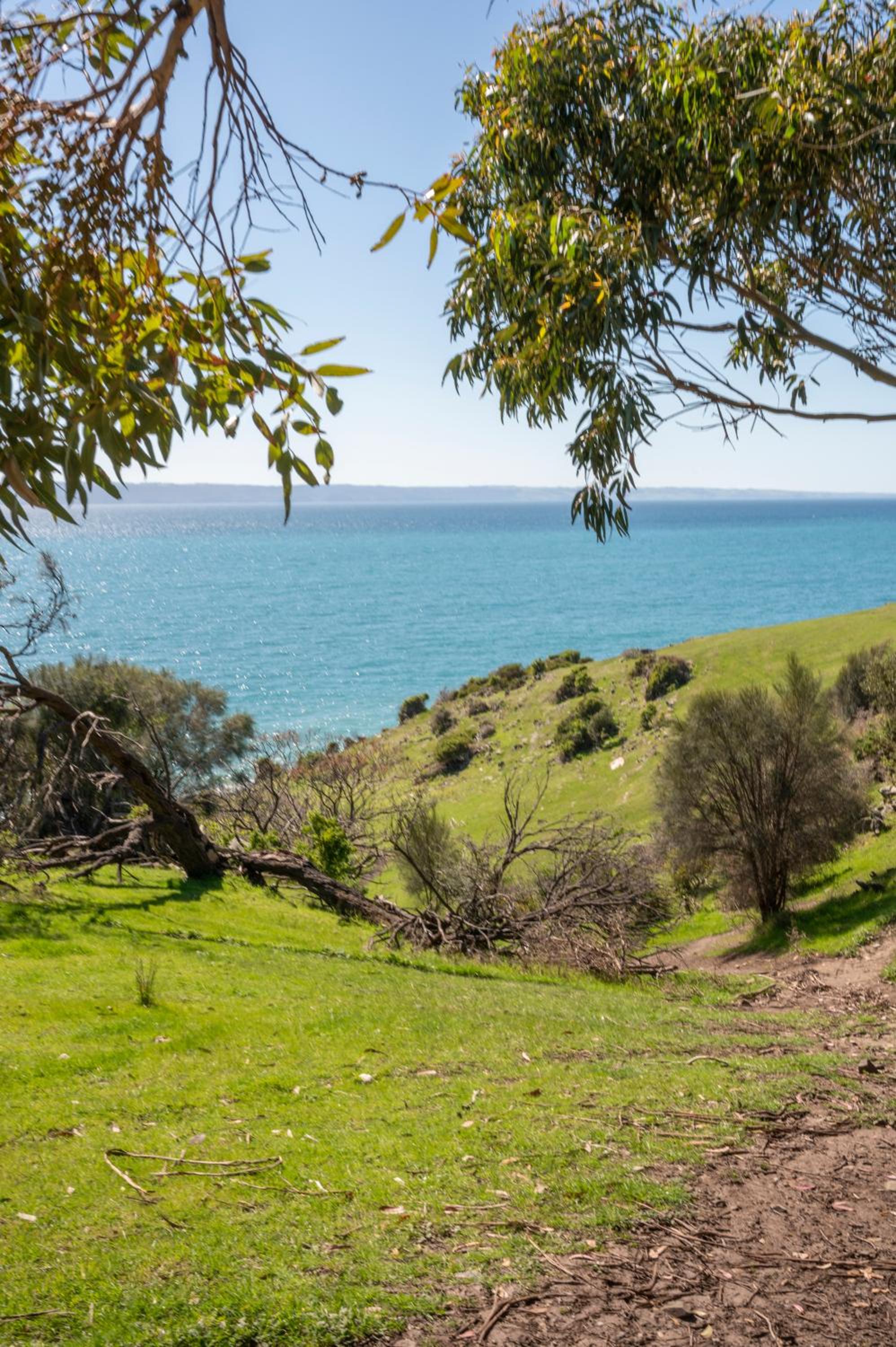 Antechamber Bay Retreats view 3
