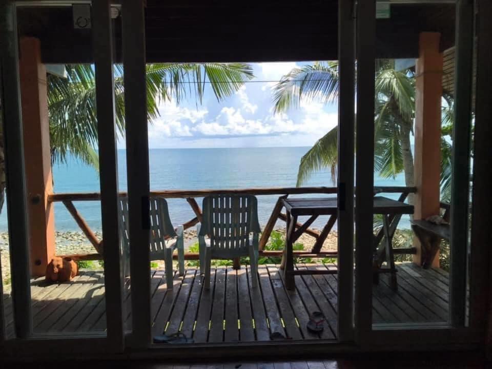 Paradise Palms view 4