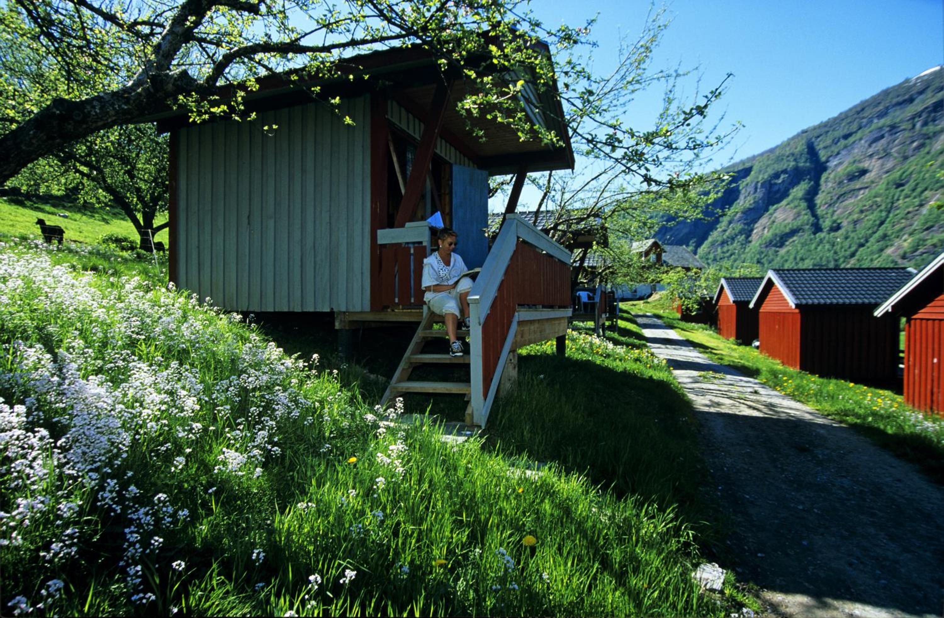 Pluscamp Sandvik