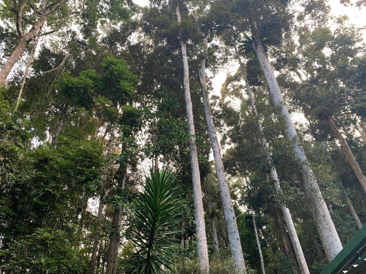 Figtree Getaway