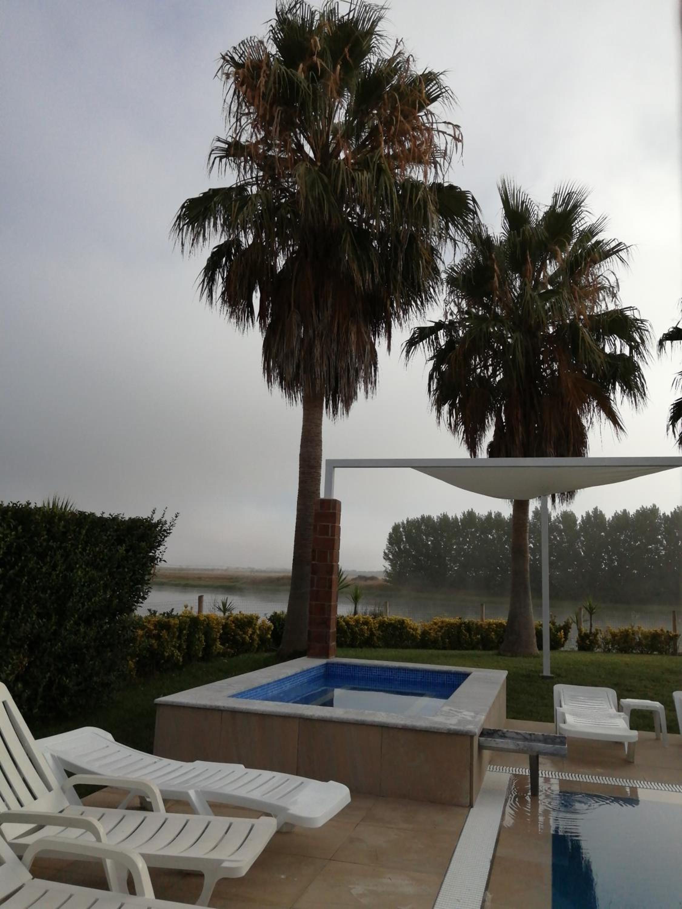 Photo 46