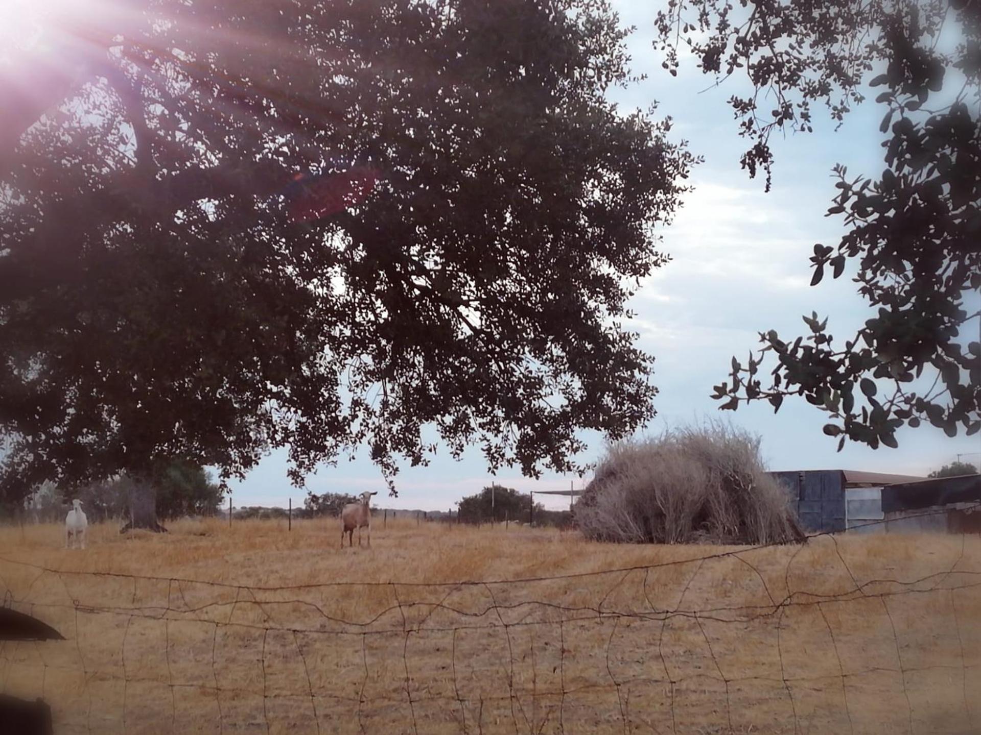 Photo 38