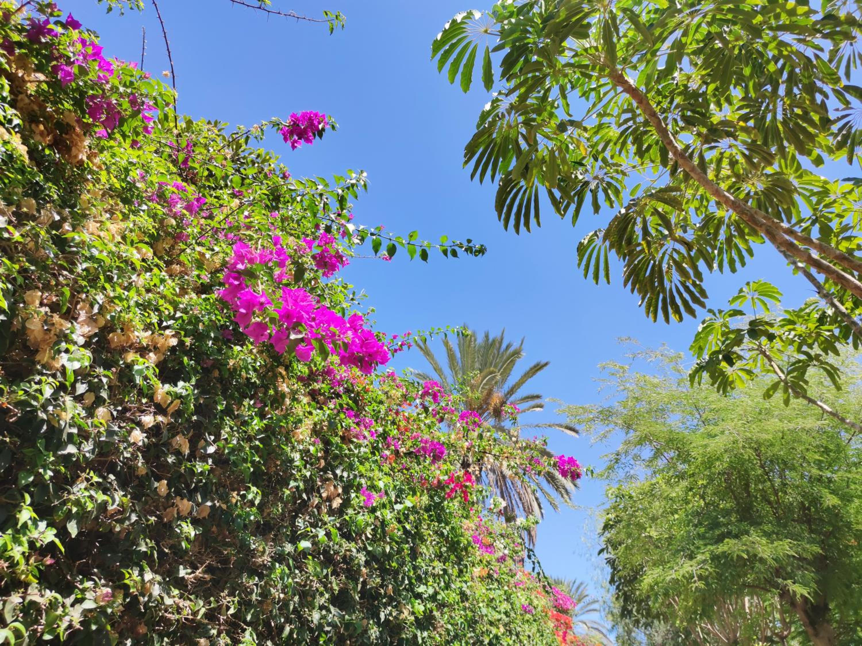 Villa Zinnia view 3