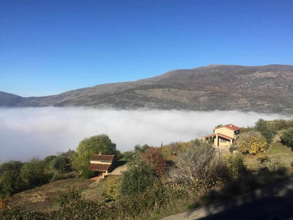 Mi Valle Rural
