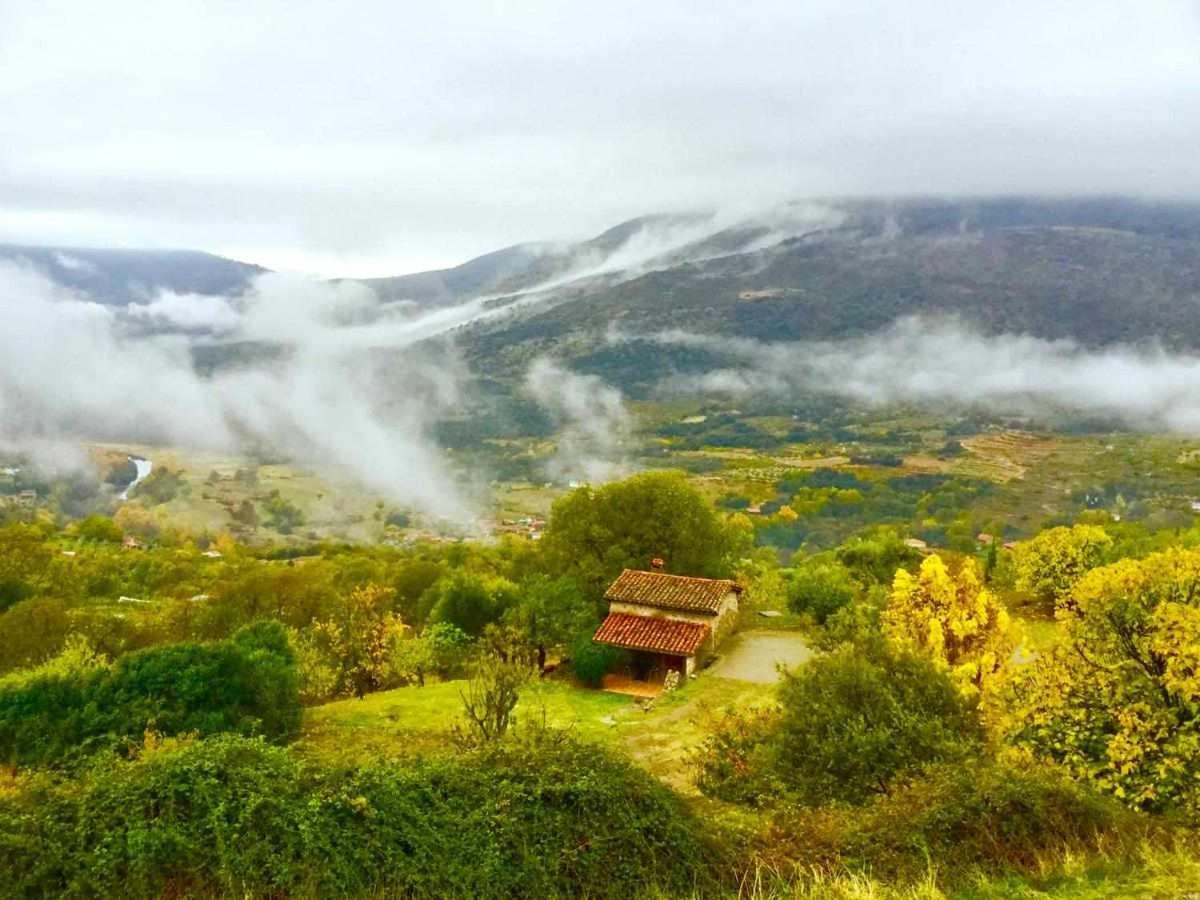 Mi Valle Rural
