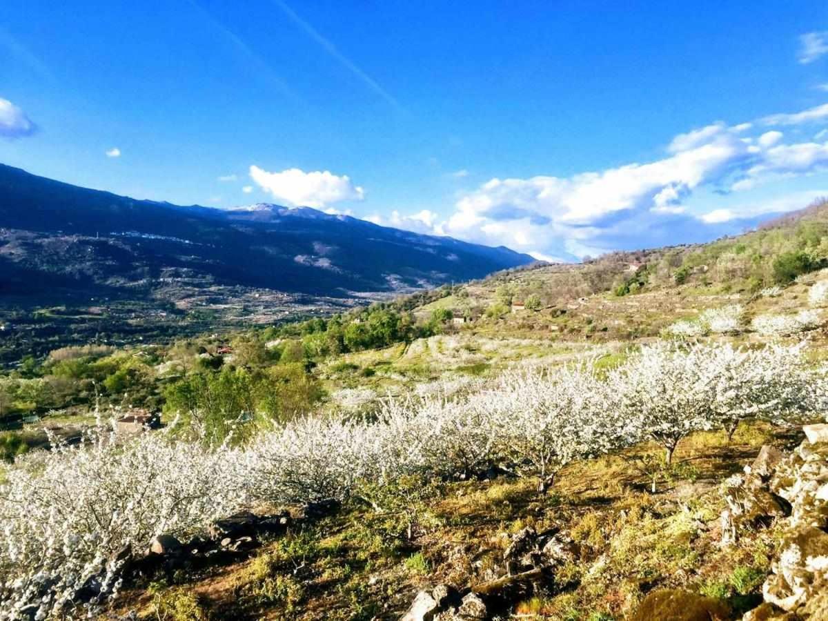 Mi Valle Rural