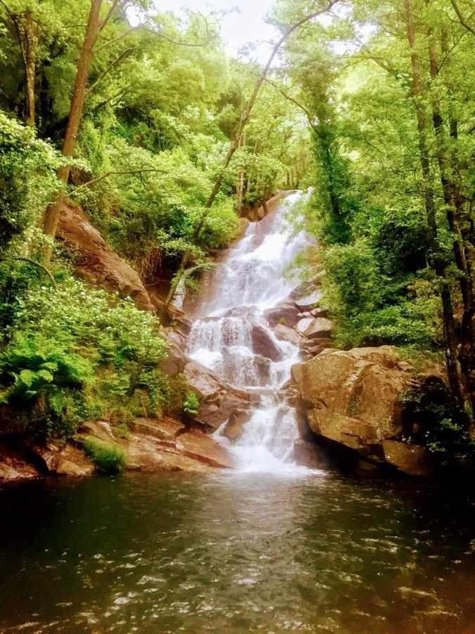 Mi Valle Rural