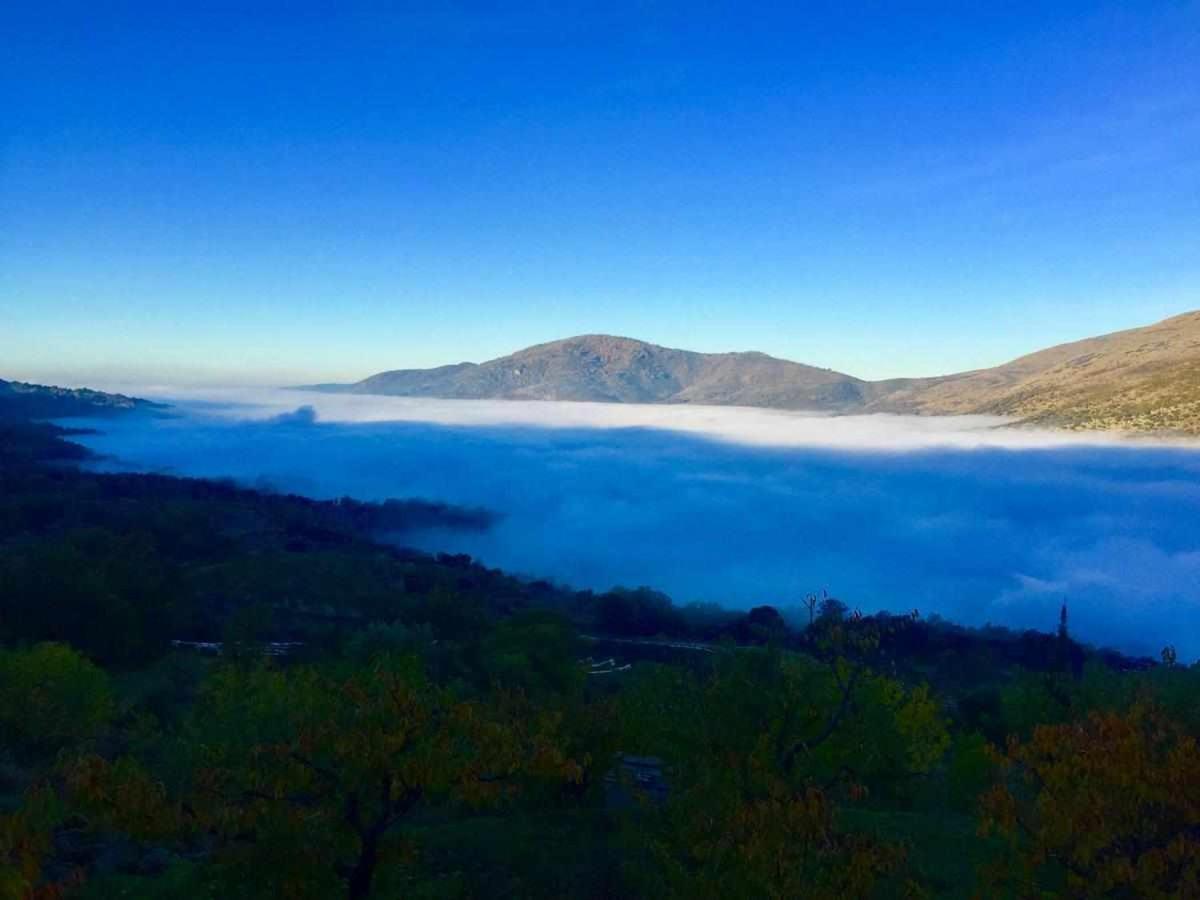 Mi Valle Rural