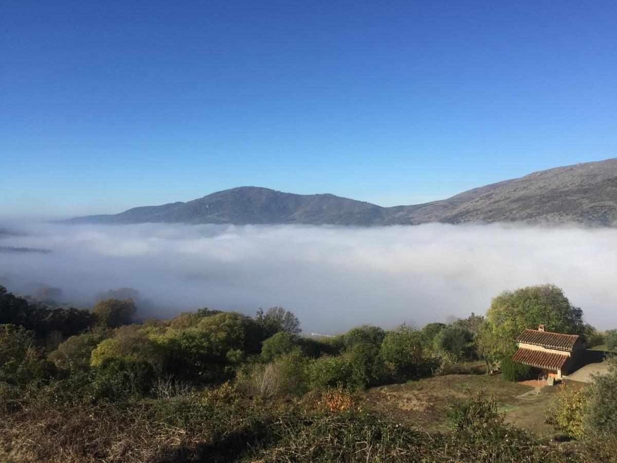 Mi Valle Rural