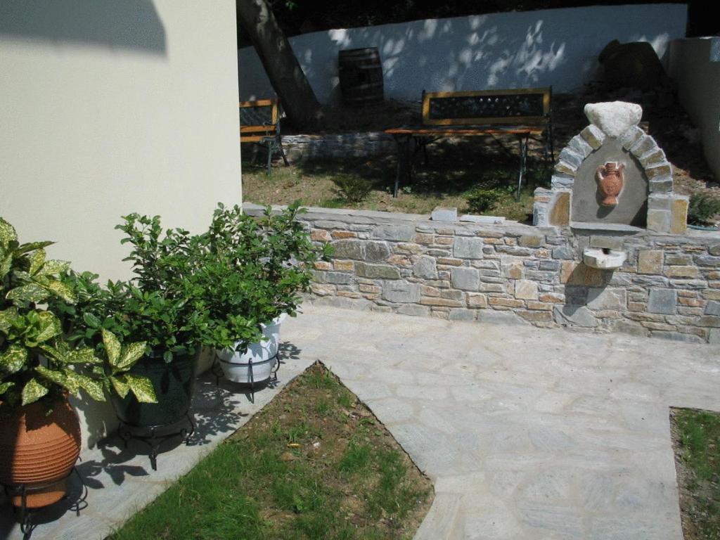 Photo 44