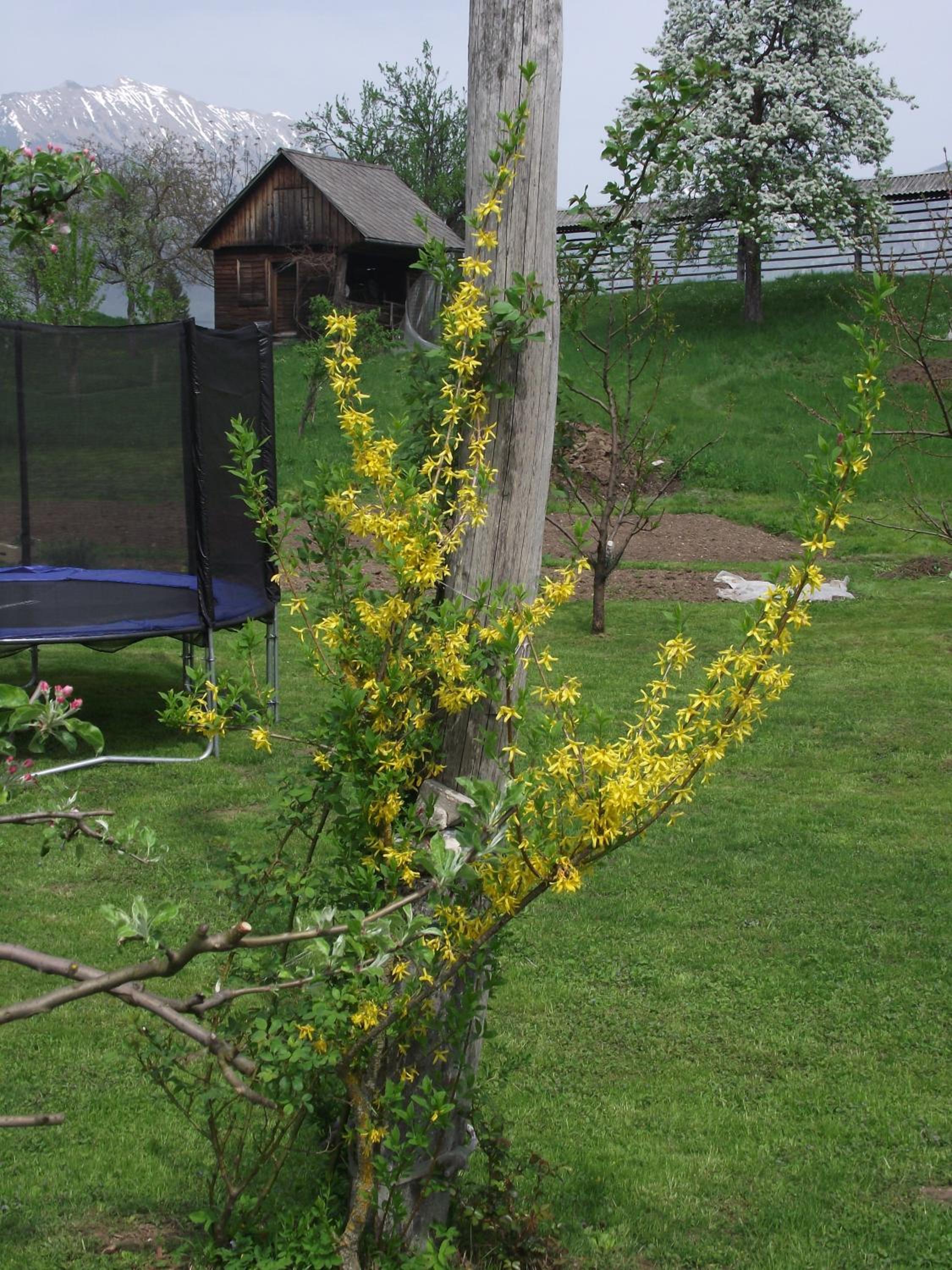 Photo 47