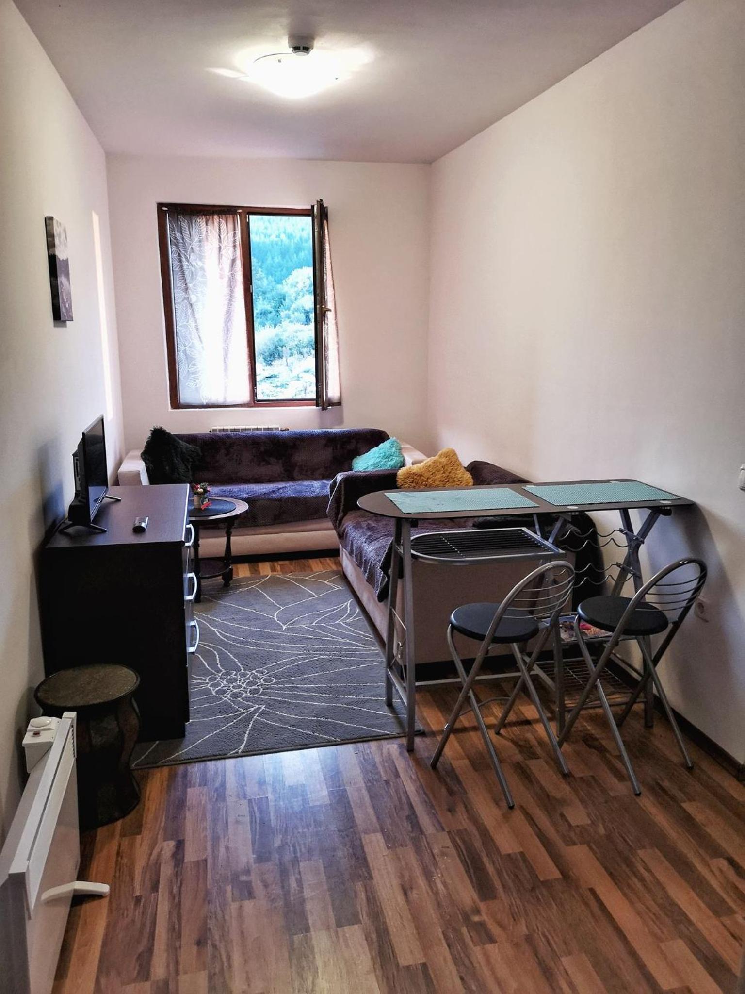 Double Studio near SKI Lift - Bansko view 4
