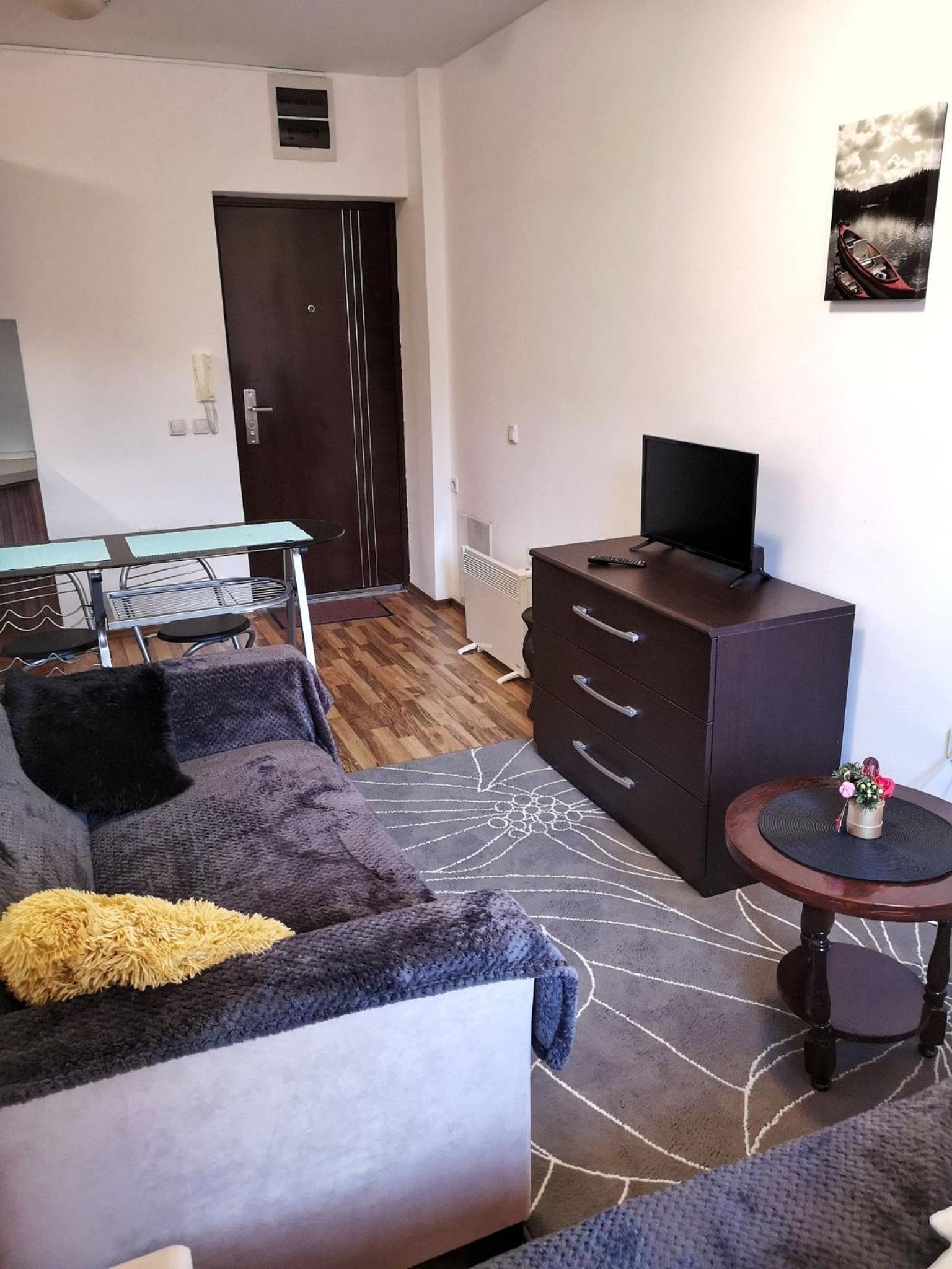 Double Studio near SKI Lift - Bansko view 3