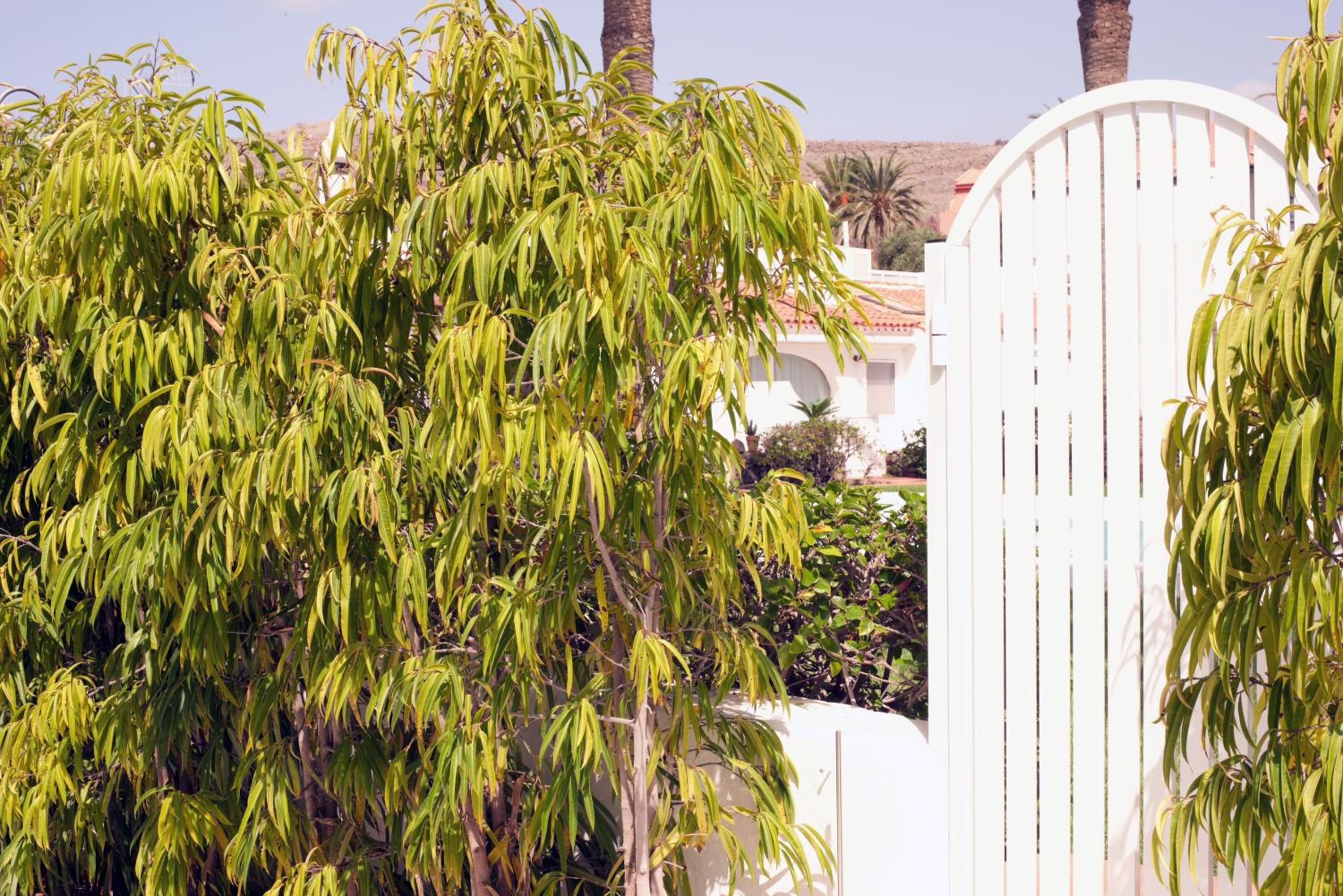 Bungalow De-Lux Pasito Blanco Panorama View
