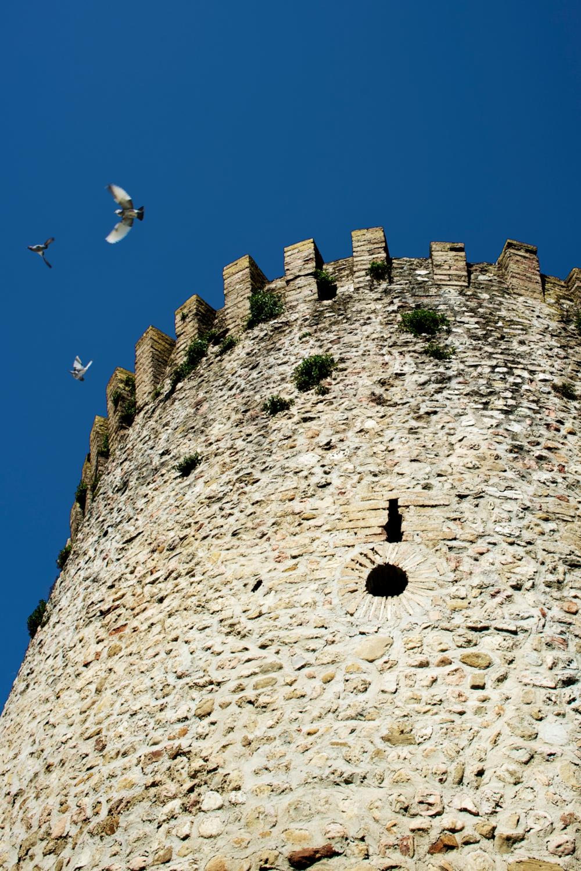 Torre della Botonta
