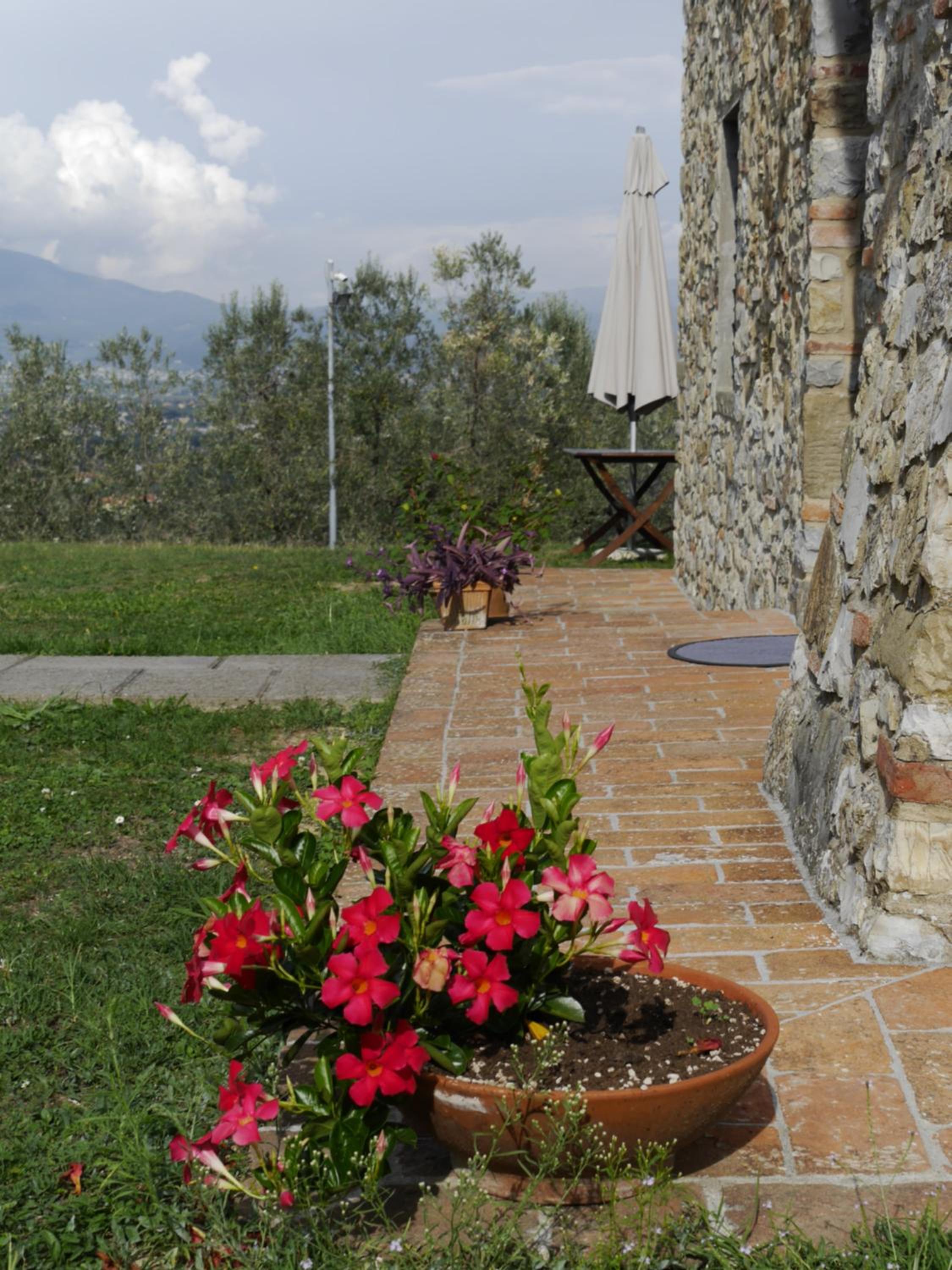 Photo 37