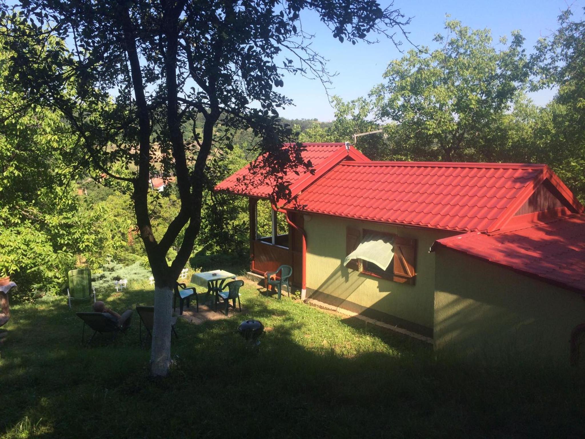 Photo 46
