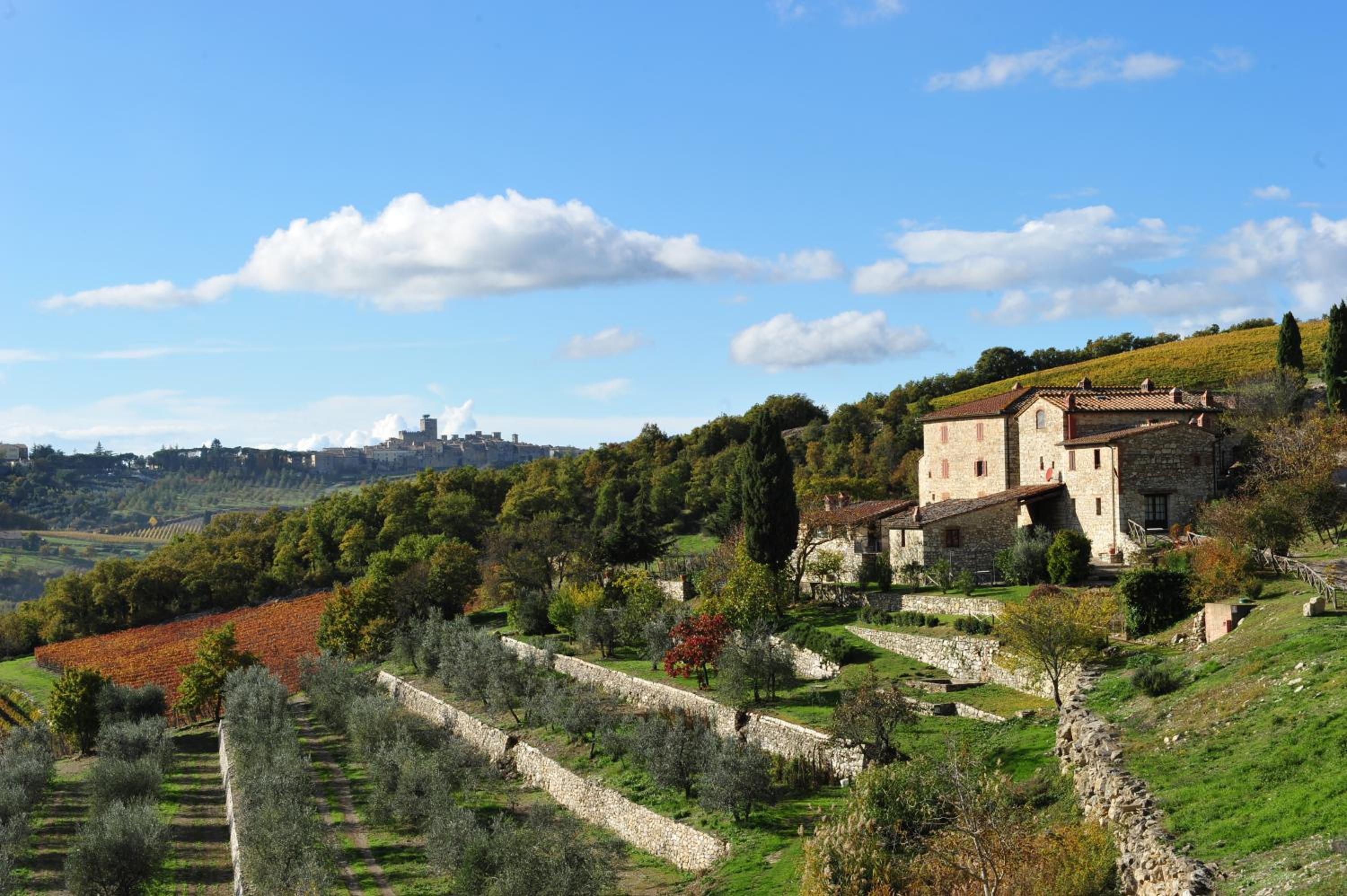 Collelungo
