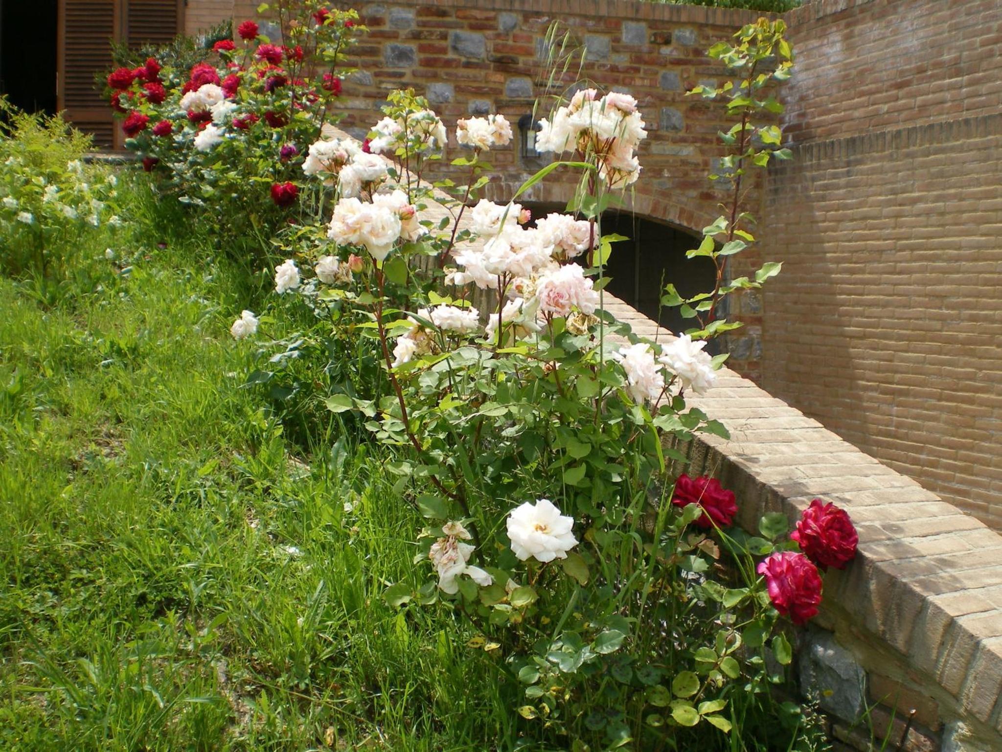 Photo 48