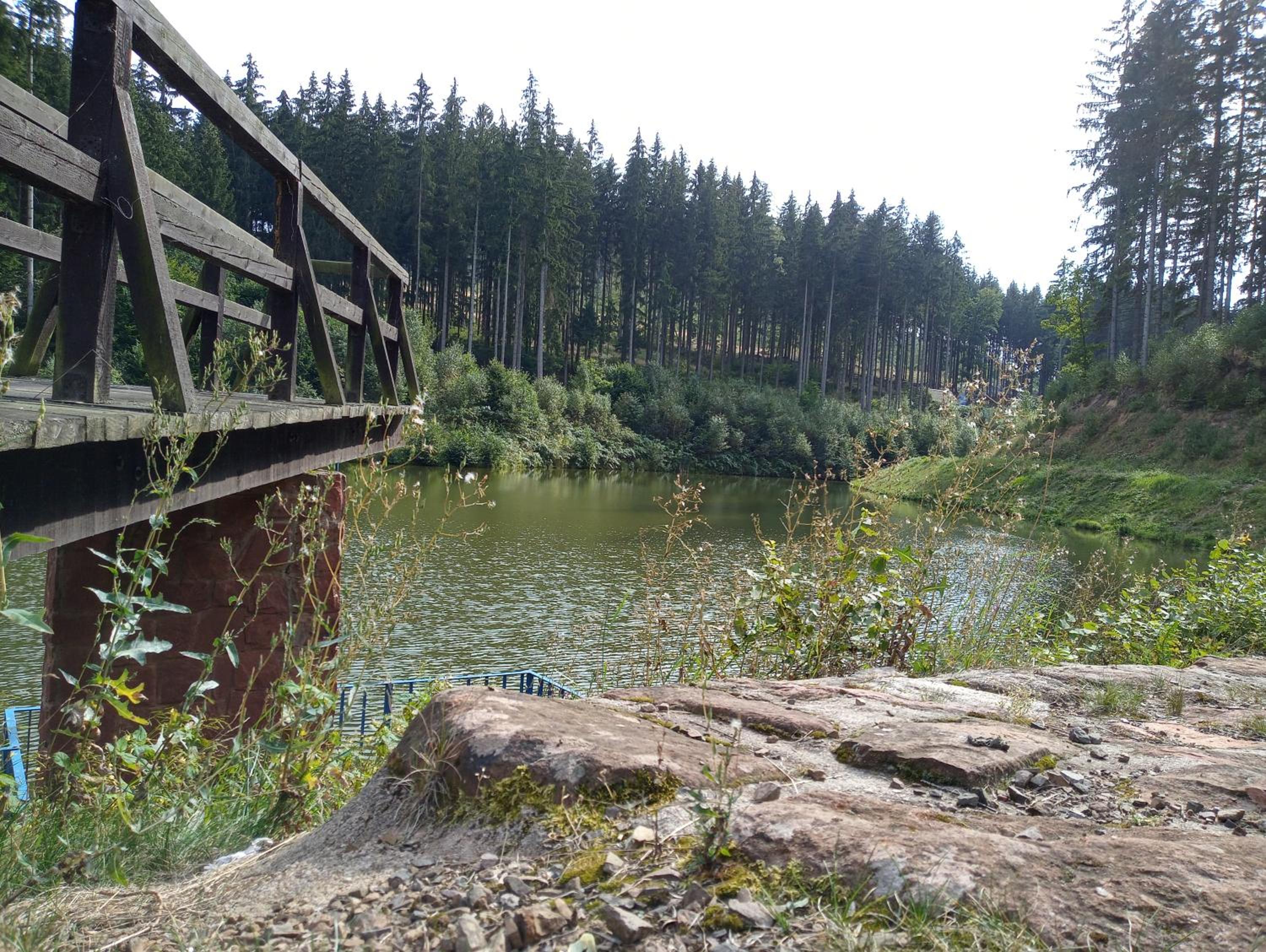 Photo 22