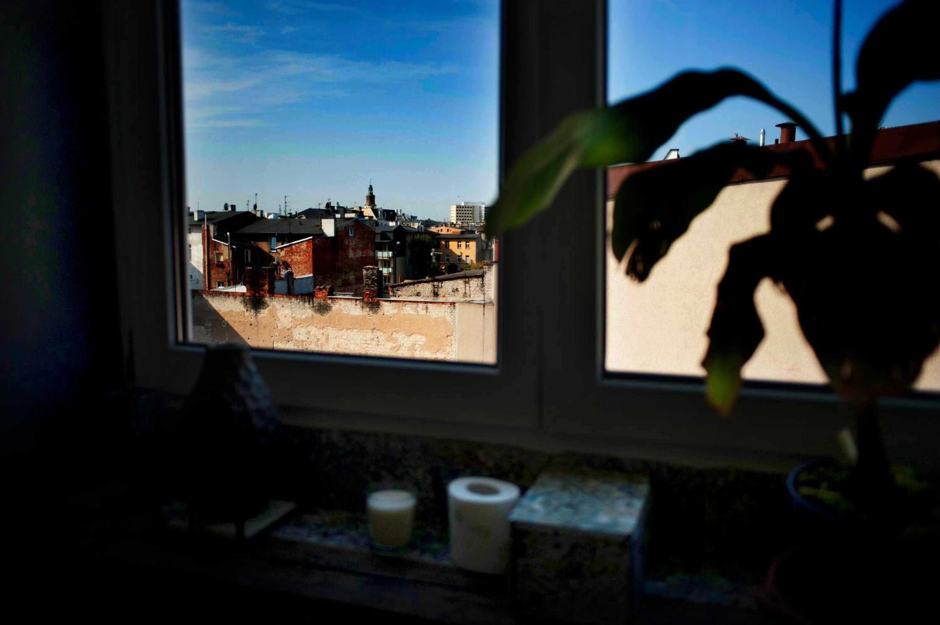 Caly apartament view 2