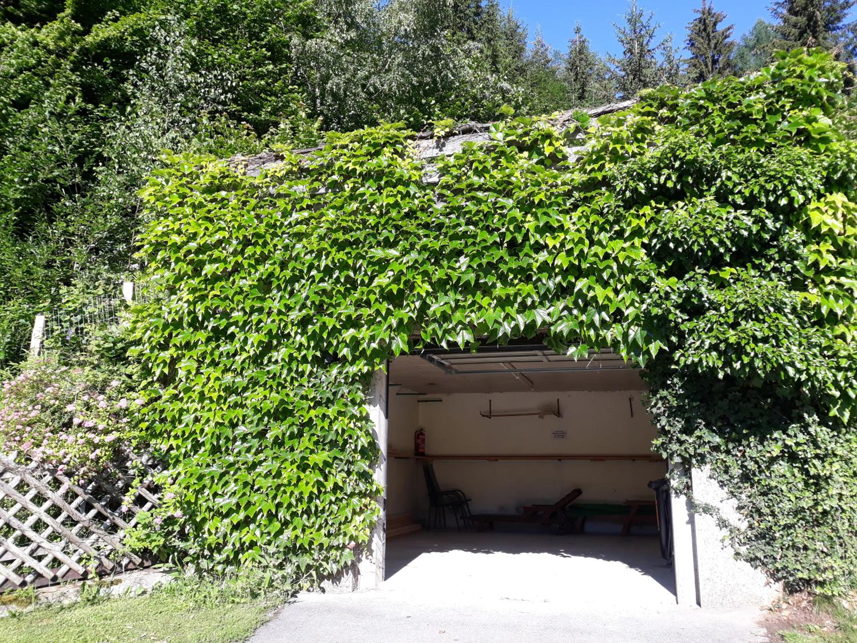 Umundumhütte