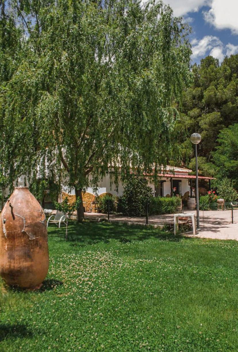 CASA CUEVA PIENA, Alcudia de Guadix view 4
