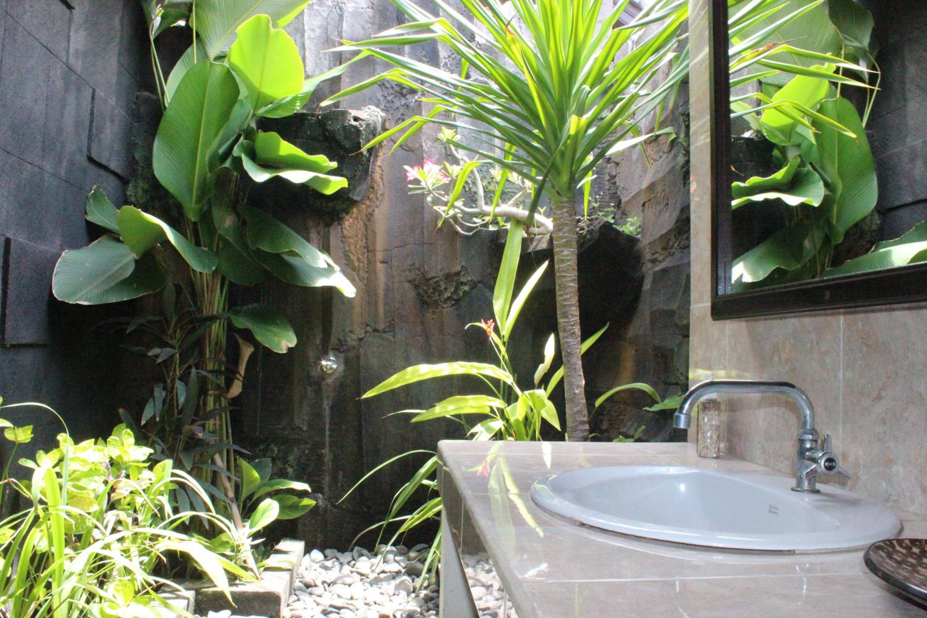 Photo 35