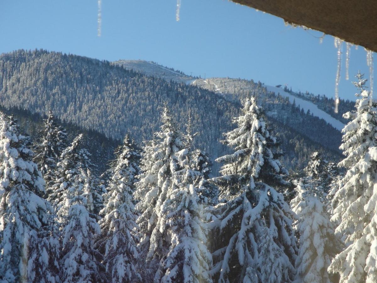 Eliza Apartment Sequoia view 3