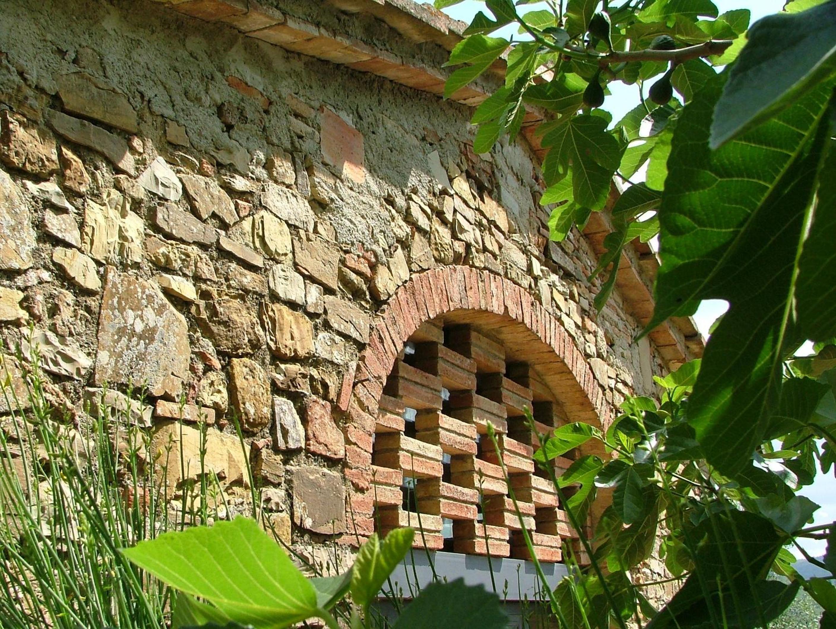 Fattoria Casa Sola
