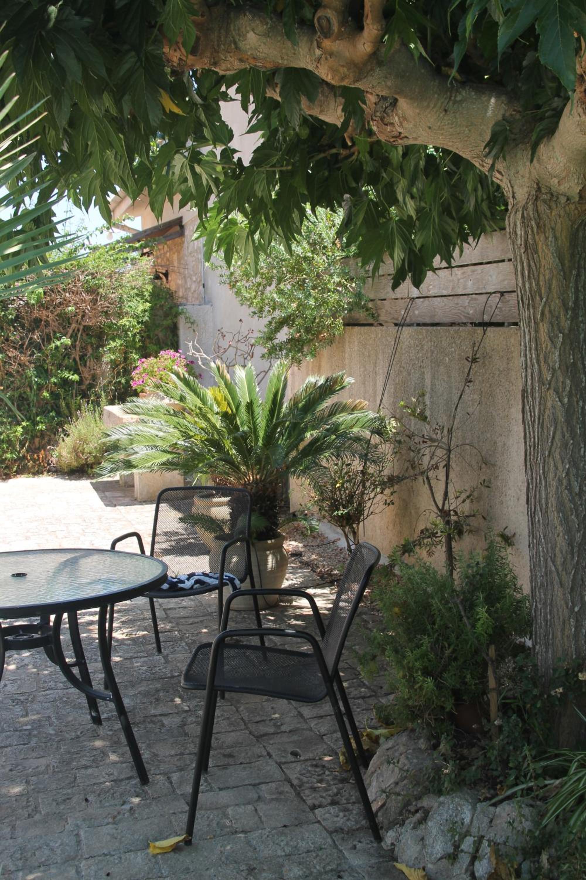 Photo 6