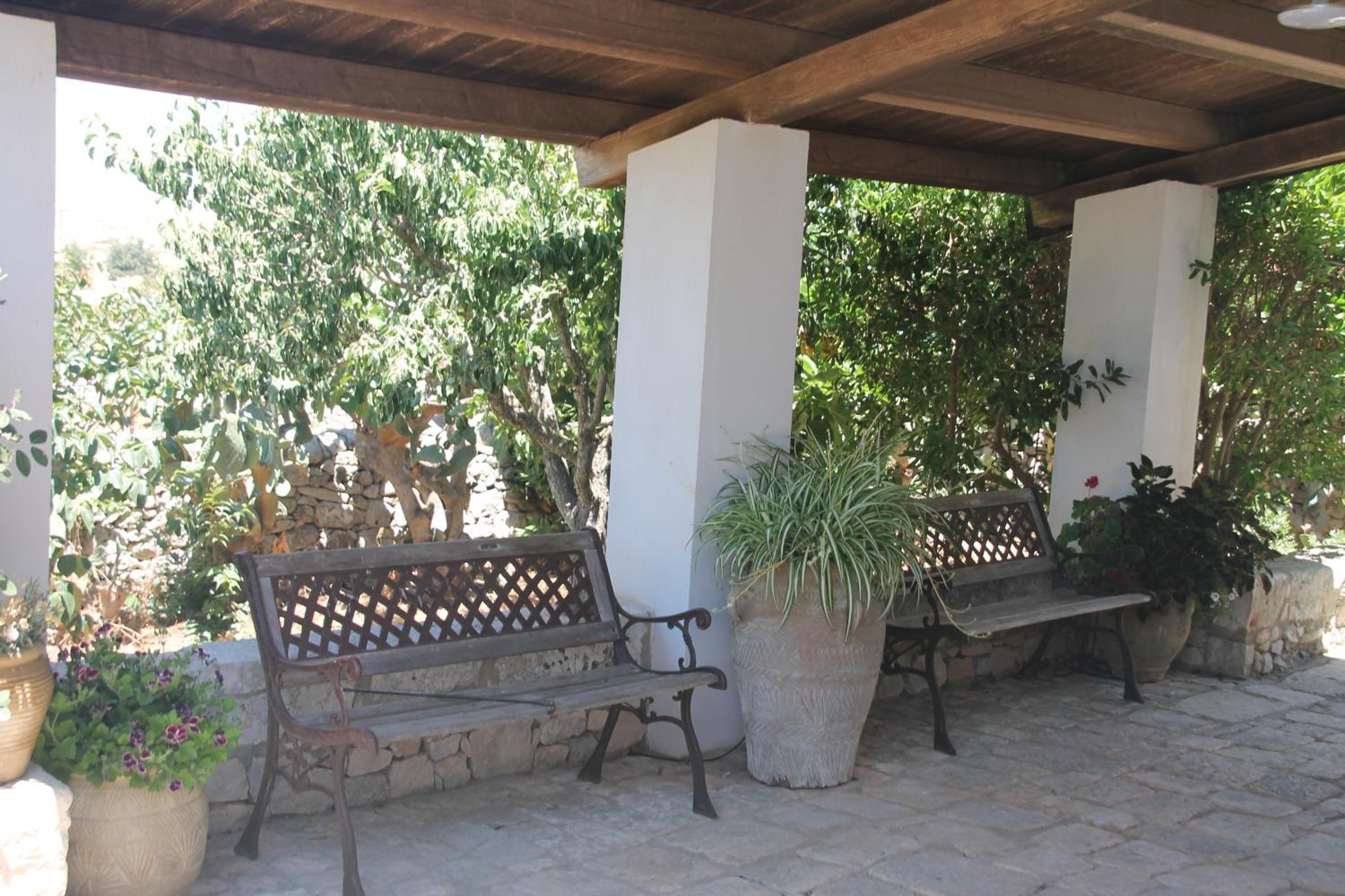 Photo 19