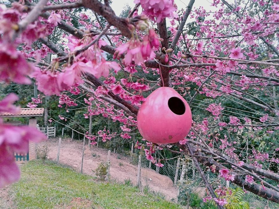 MEU PEDACINHO DO CÉU um lugar para se desconectar
