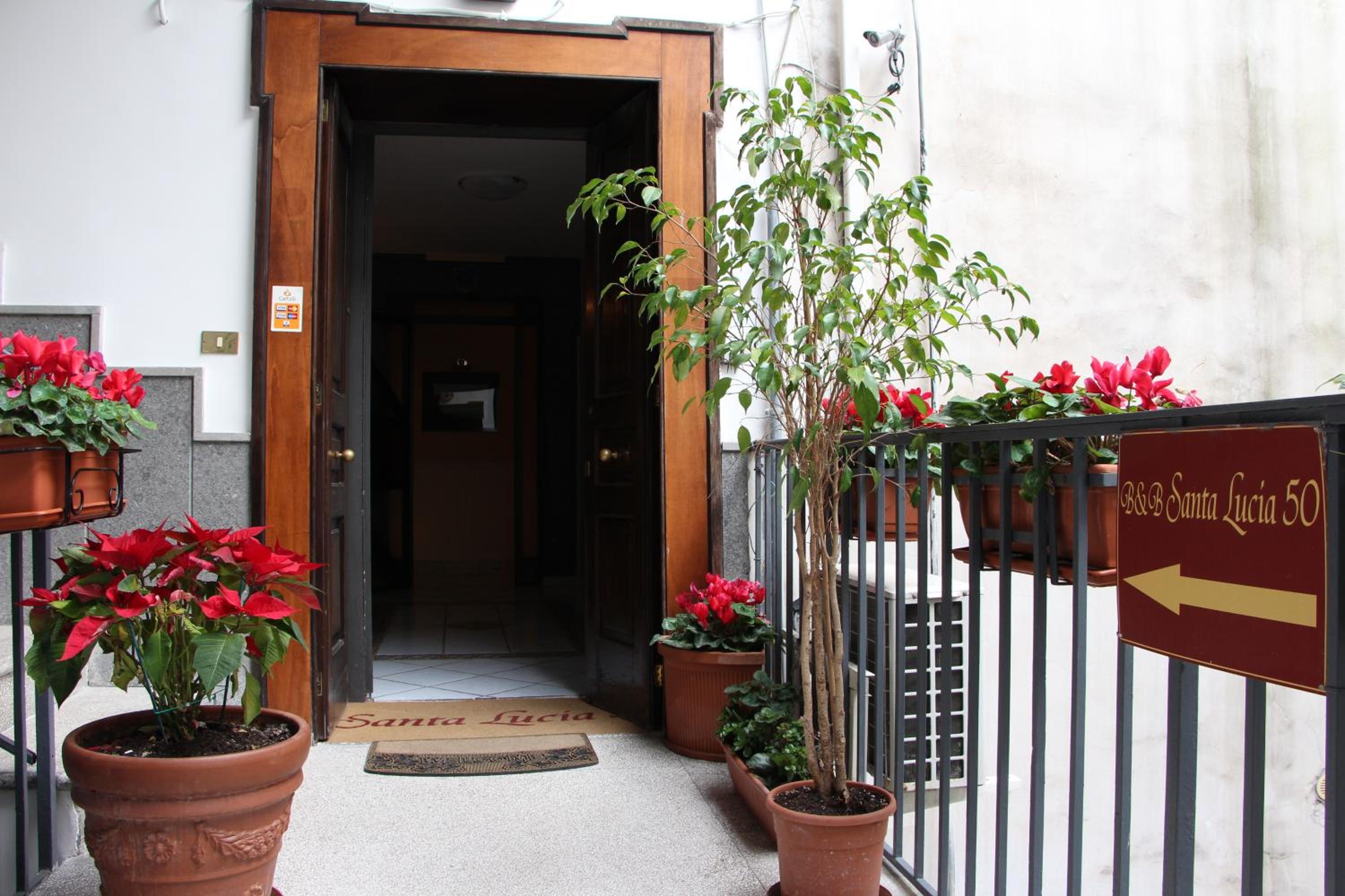 Santa Lucia 50