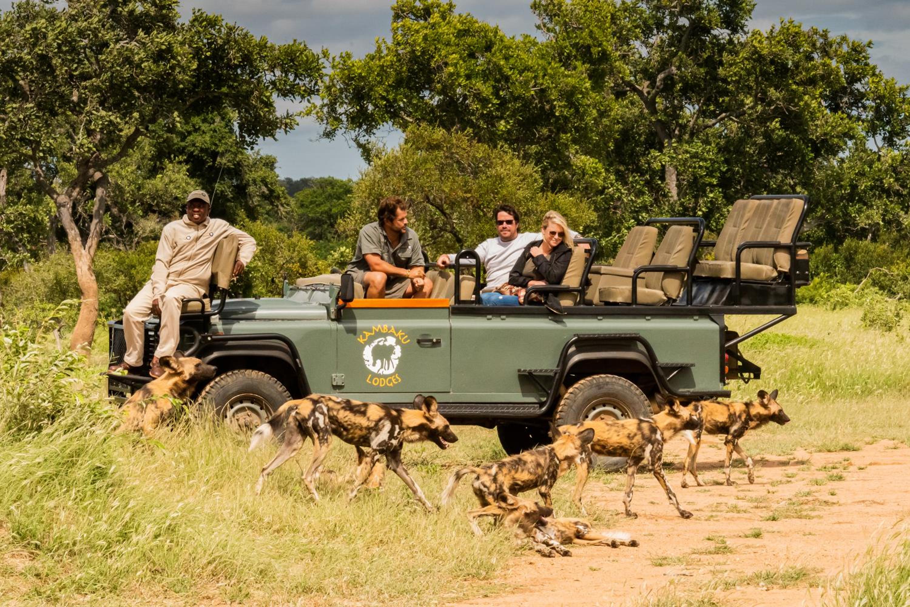 Kambaku Safari Lodge